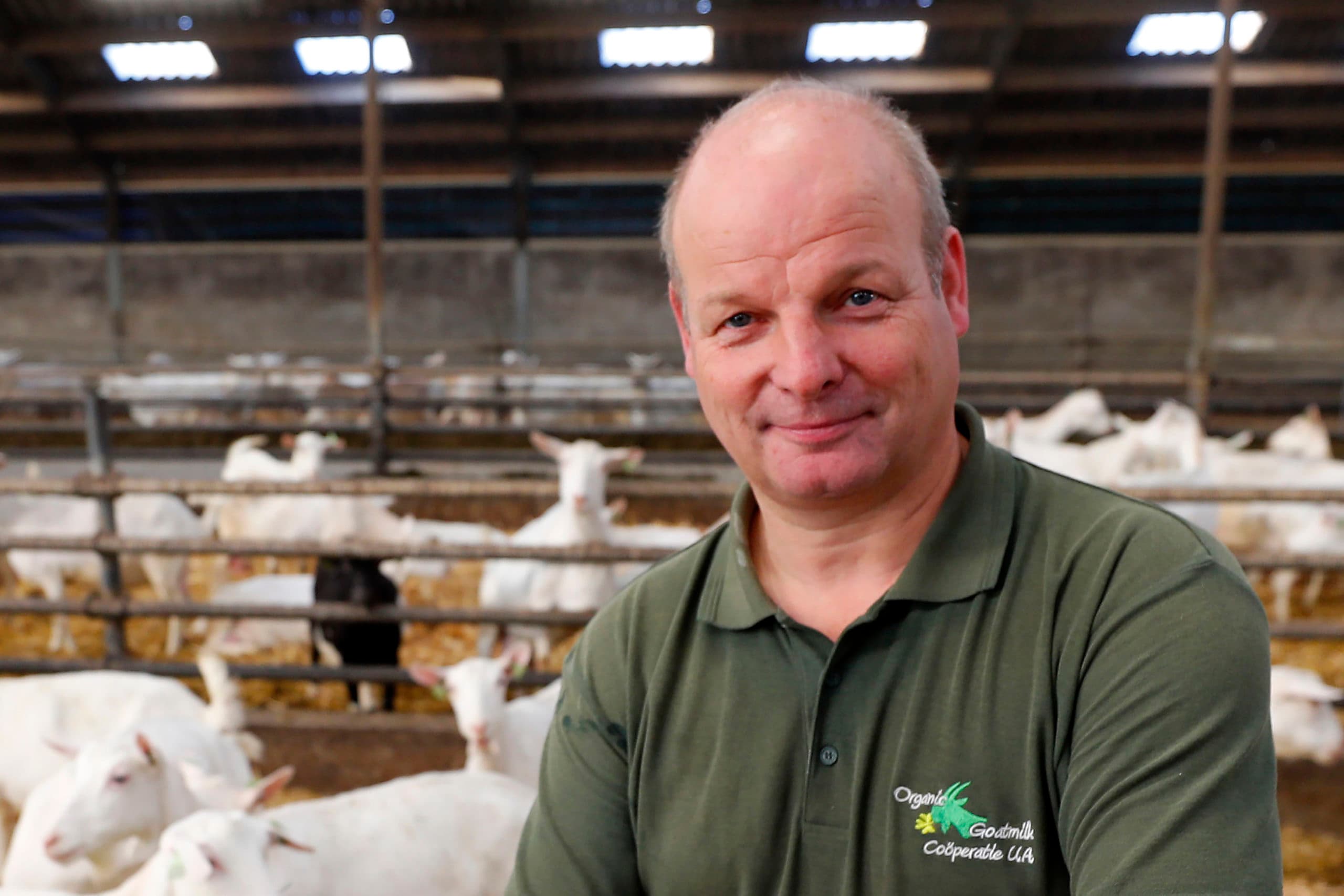 Gerrit Verhoeven - Foto: Bert Jansen