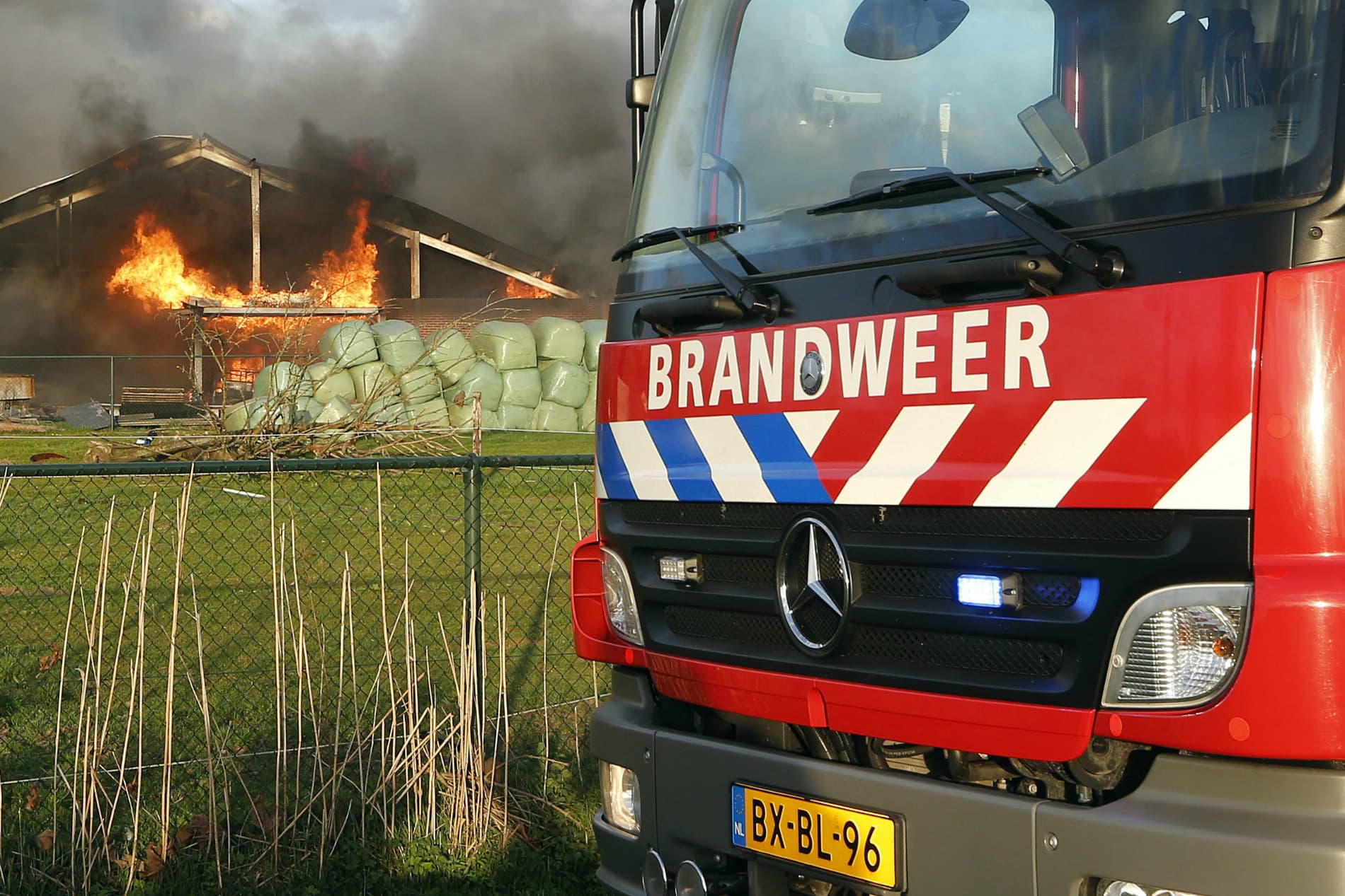 Foto: Bert Jansen