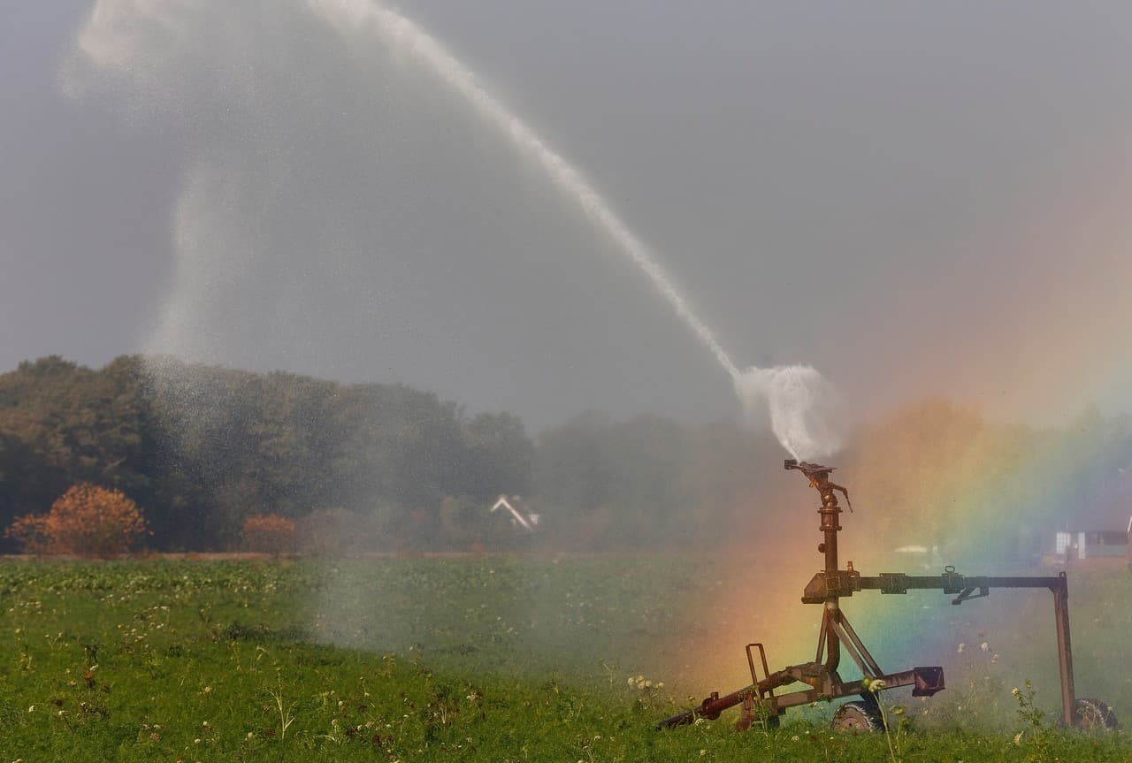 Foto: Hans Prinsen