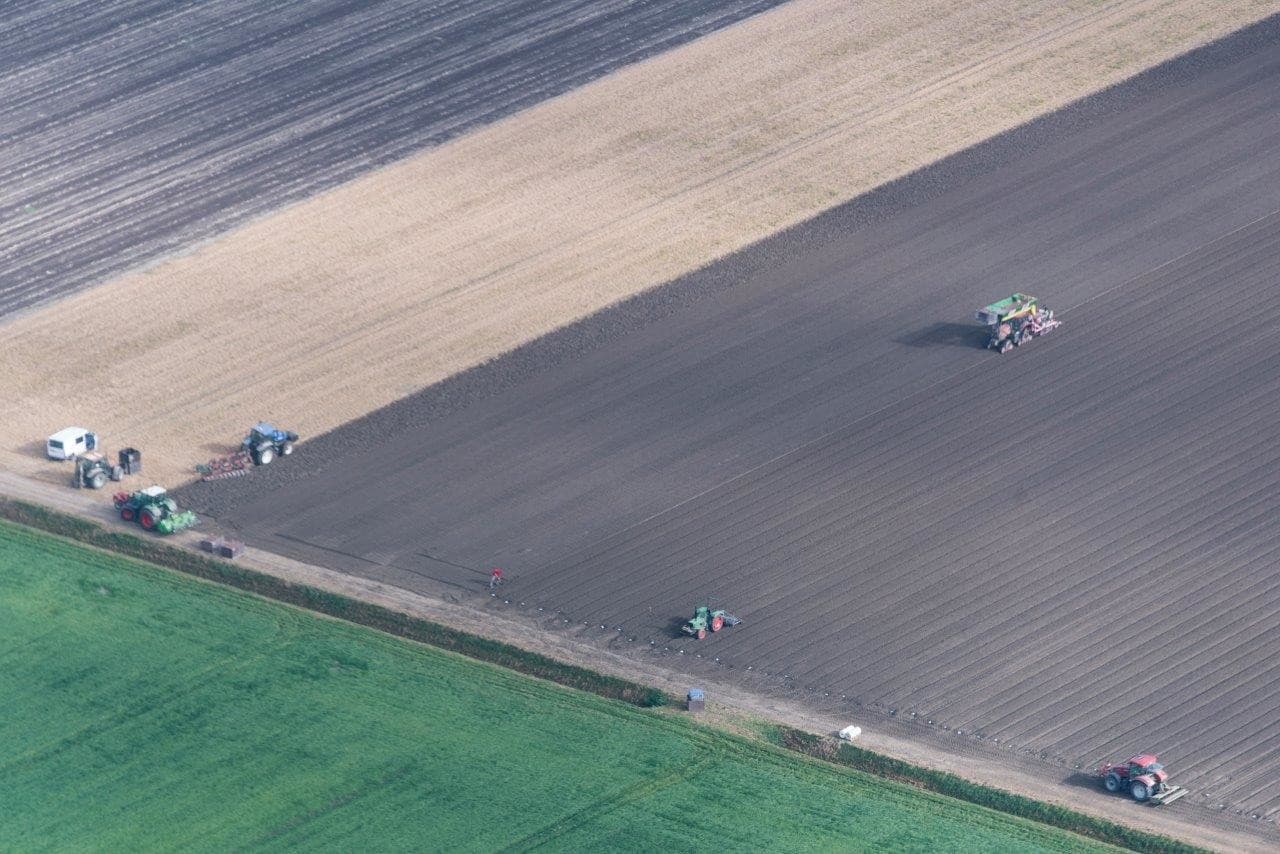 Bietenrooien zonder veel tarra, het is dit jaar mogelijk. Het lijkt wel dat dit perceel niet vrij is van bladziekten.