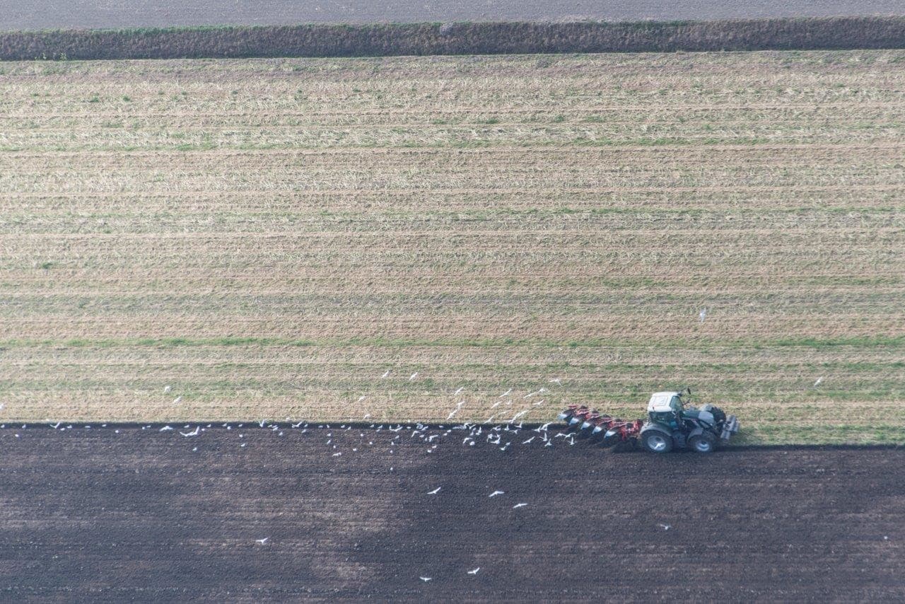 De Fendt kan deze 6-schaar ook met gemak aan. Of is dit een eco-ploeg?