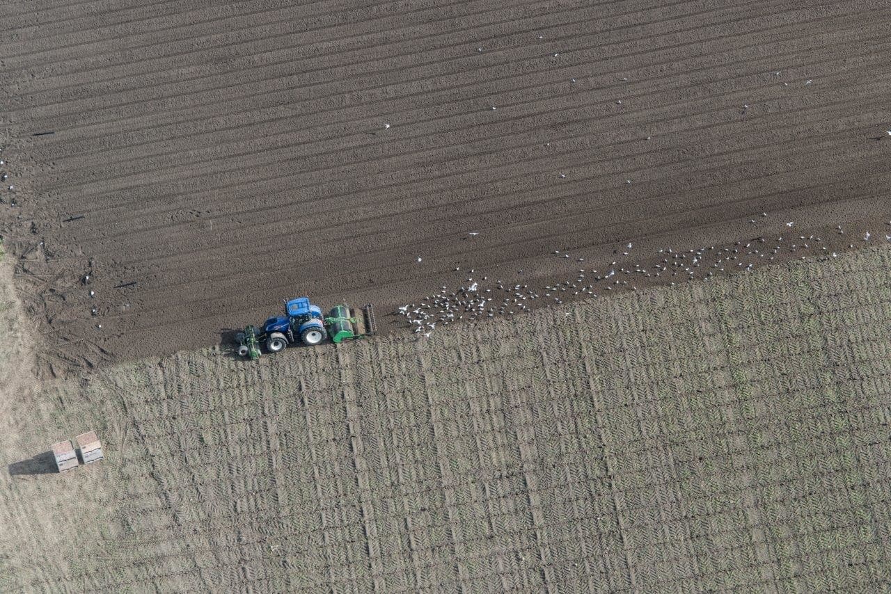 Nog een beeld van het beregenen van een perceel peen.