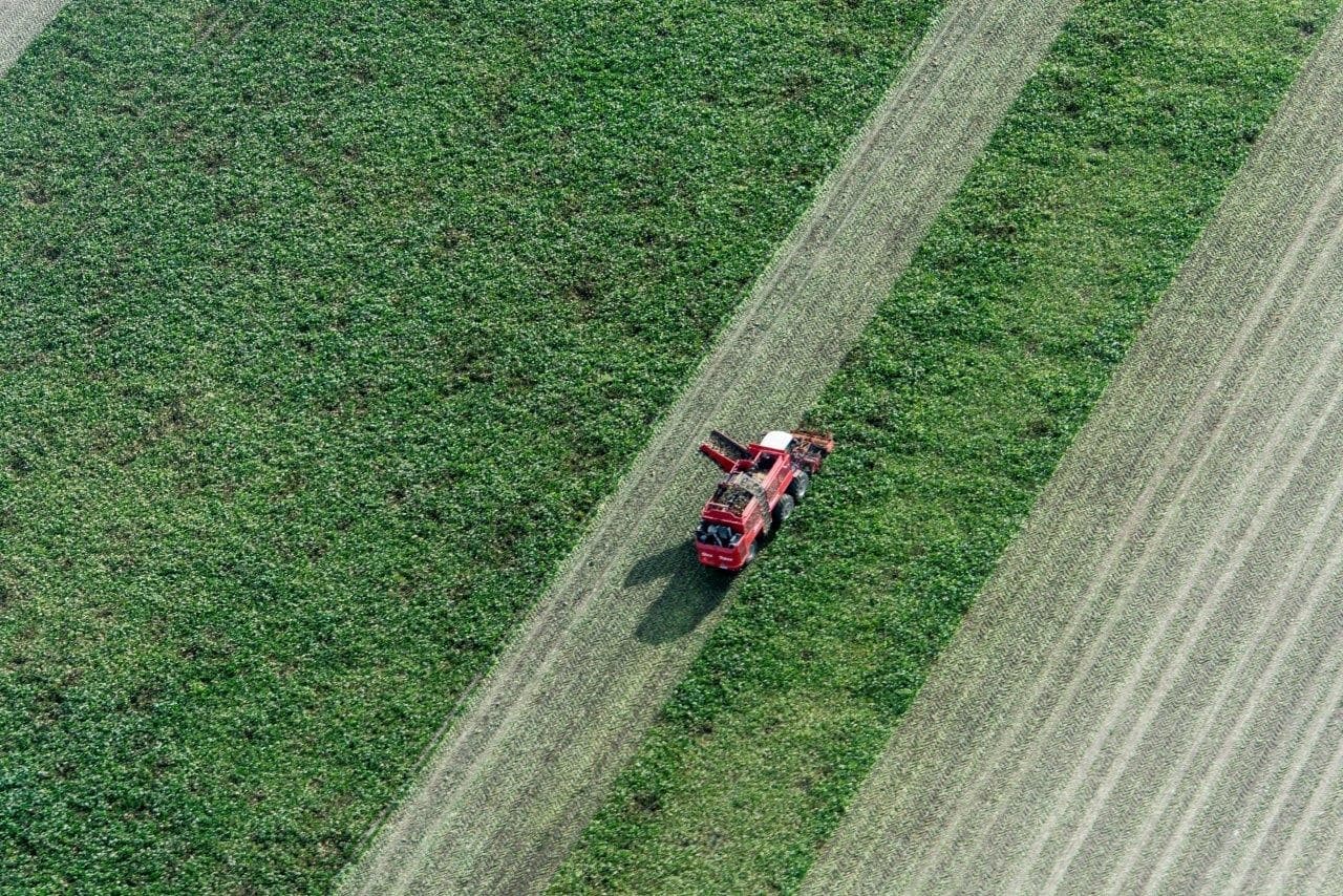 Een heel tafereel bij het bollenplanten. Alle werkzaamheden rond het planten zijn aanwezig: ploegen, frezen, planten, sporen woelen en de einden strak afwerken.