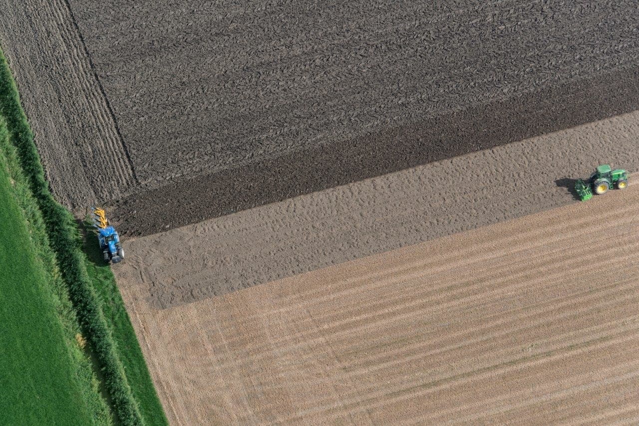 Als de grond dan vochtig genoeg is kan er gerooid worden.