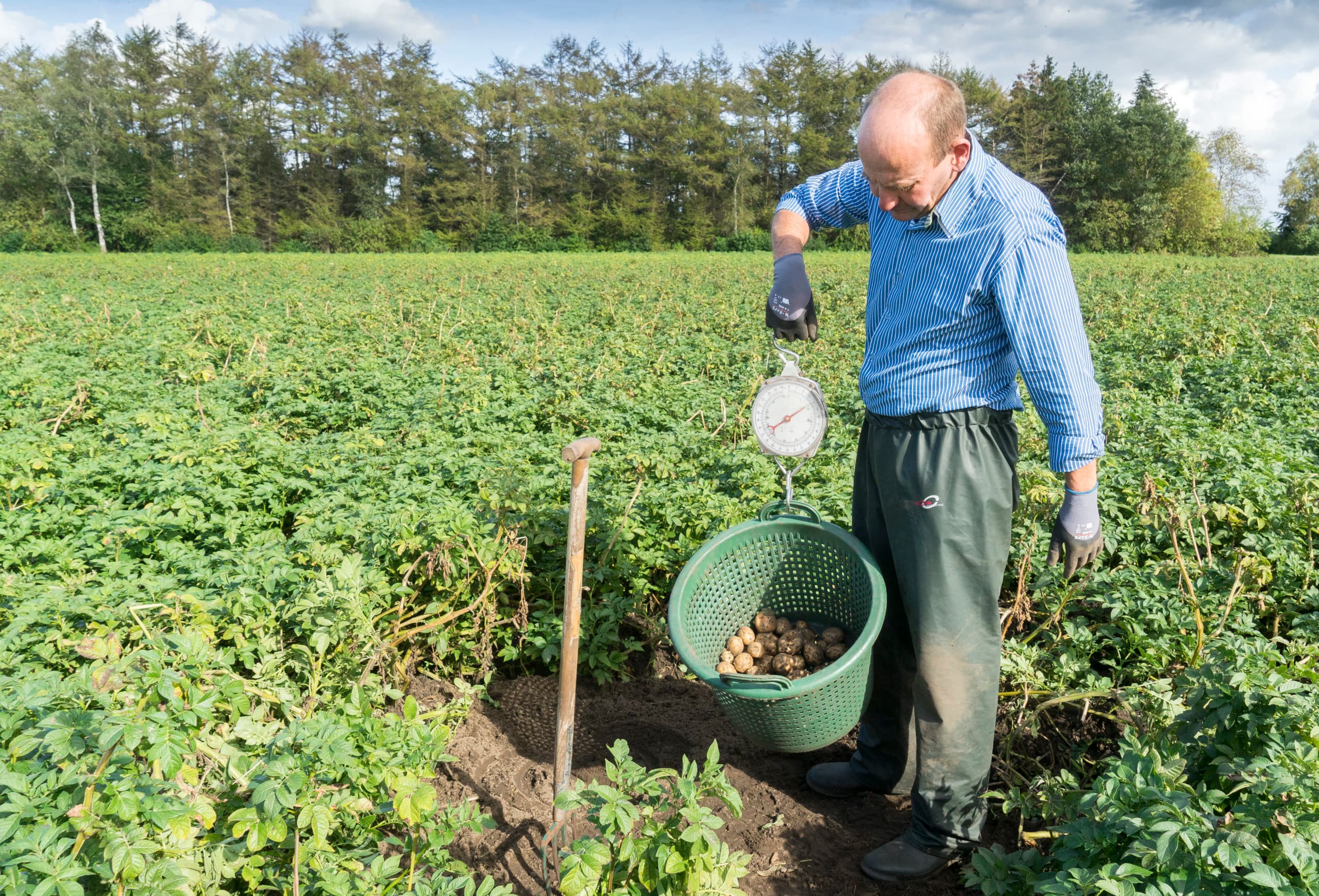 Foto: Jan Willem van Vliet