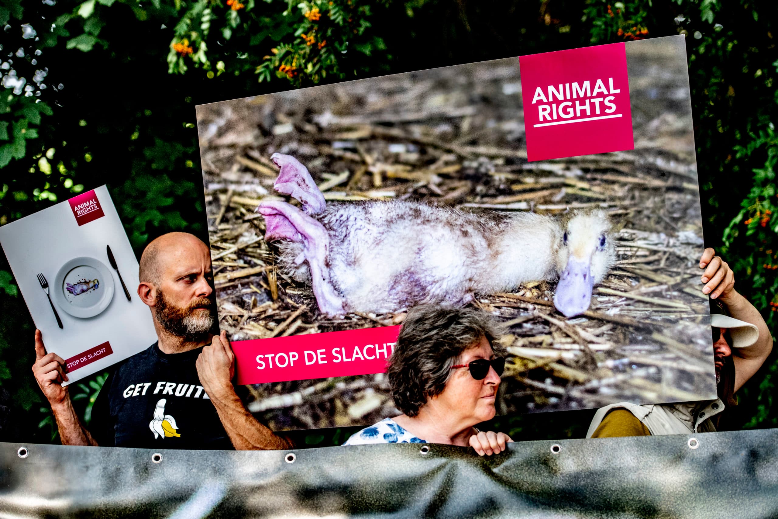 Animal Rights voerde in juli actie bij eendenslachterij Tomassen Duck-To. - Foto: ANP