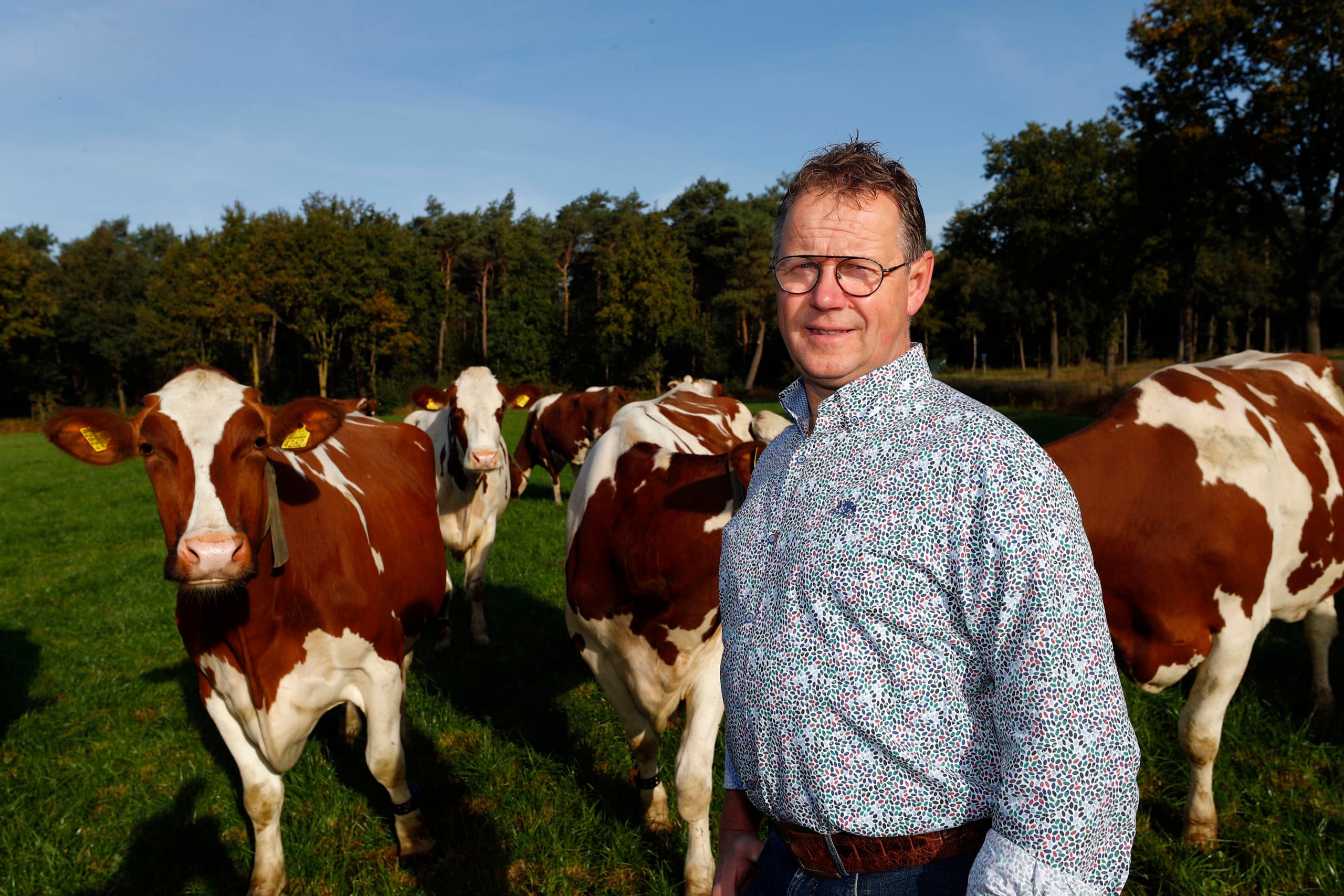 Meulenbroeks wil, samen met vleesvee-collega Hartendorf en algemeen voorzitter Calon, de bijzondere fosfaat-knelgevallen helpen. Ze menen dat dat dit niet ten koste hoeft te gaan van het collectief, zonder dat de generieke korting stijgt. - Foto: Bert Jansen