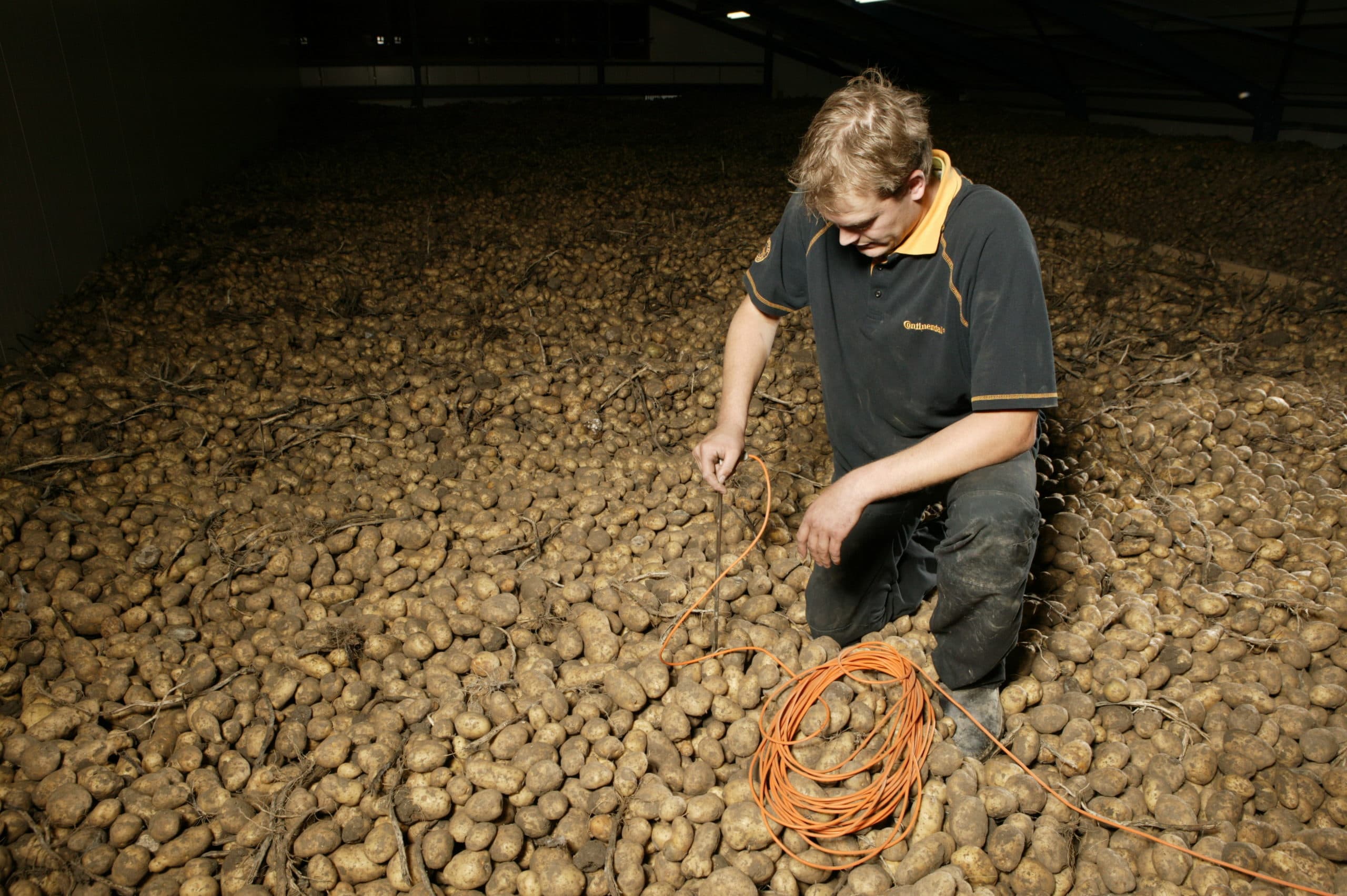 Foto: Henk Riswick