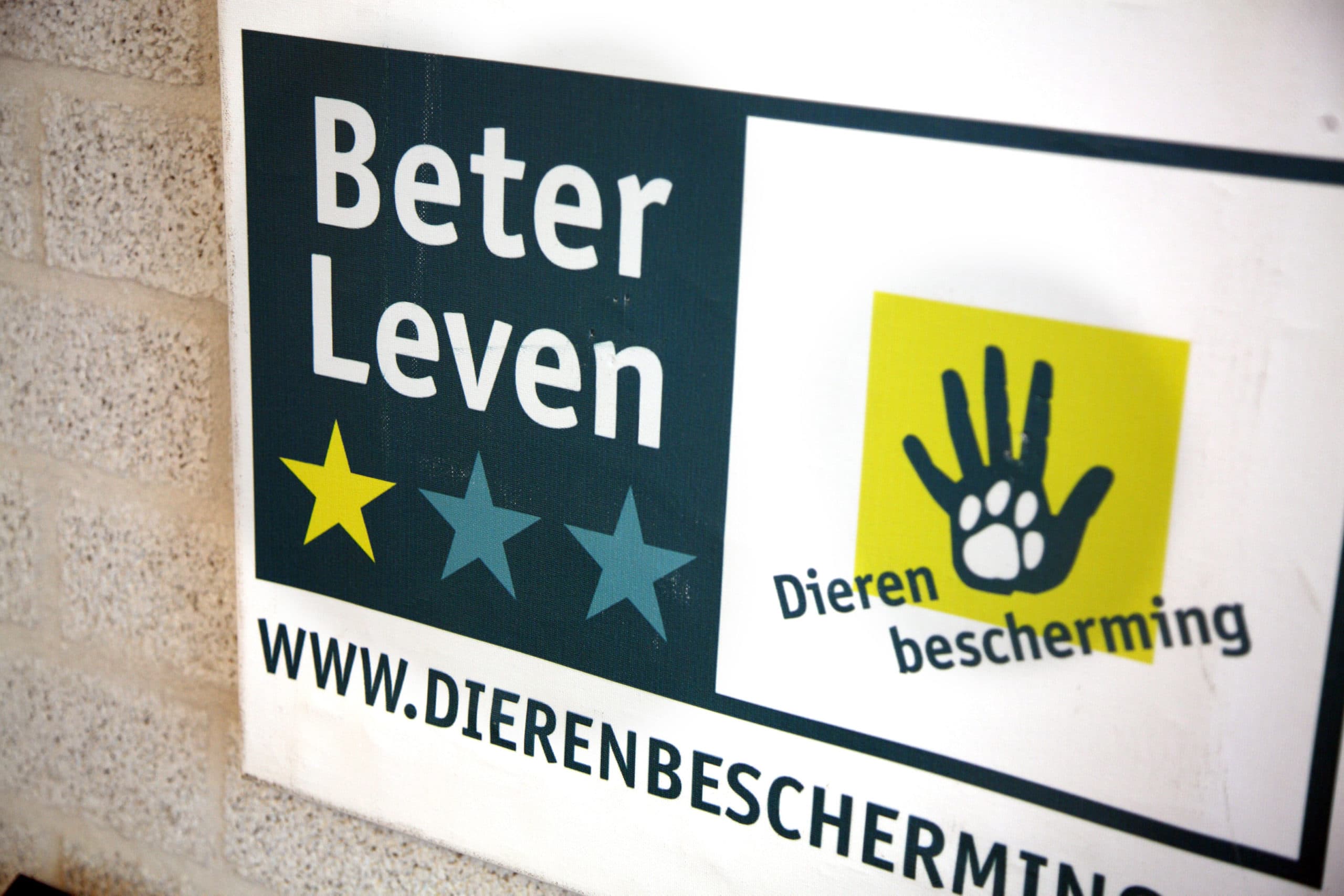 Foto: Herbert Wiggerman