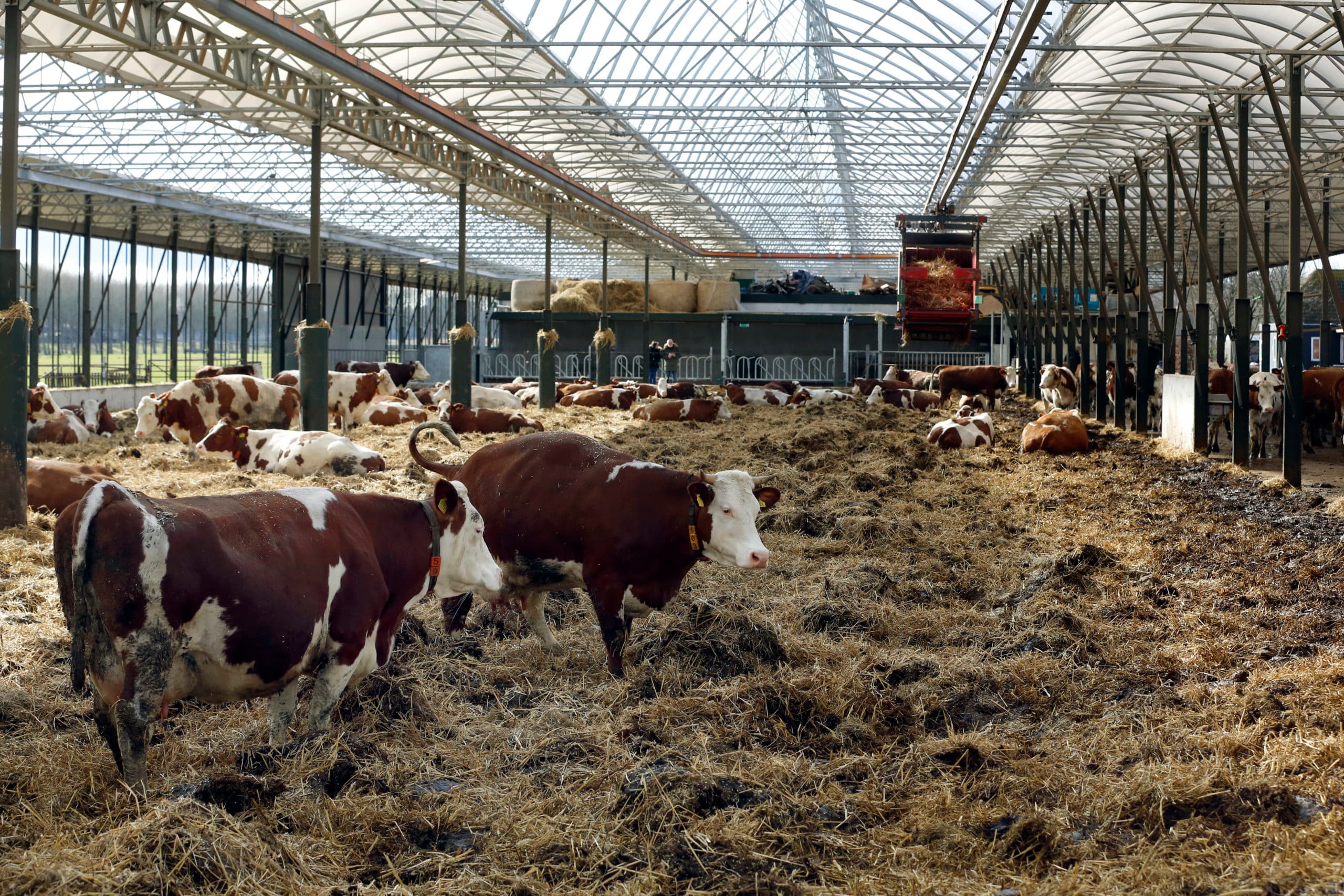Foto: Roel Dijkstra