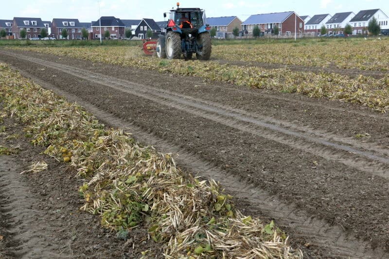 Iets meer dan een halve bonenopbrengst