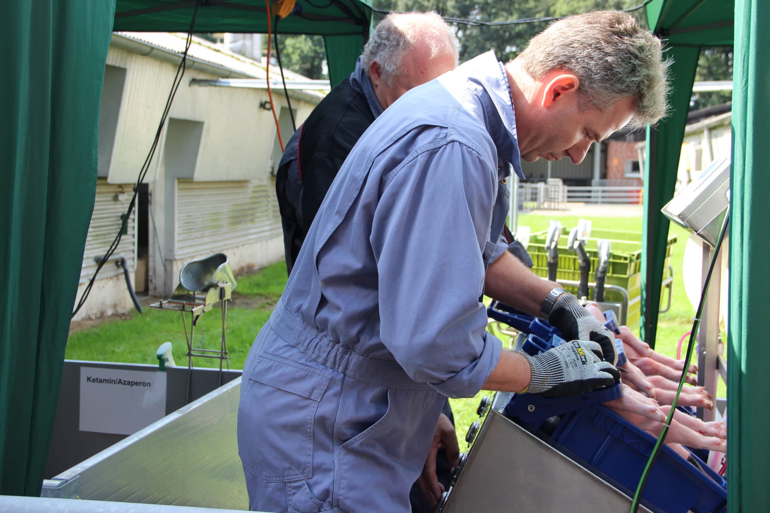 Foto: Kees van Dooren