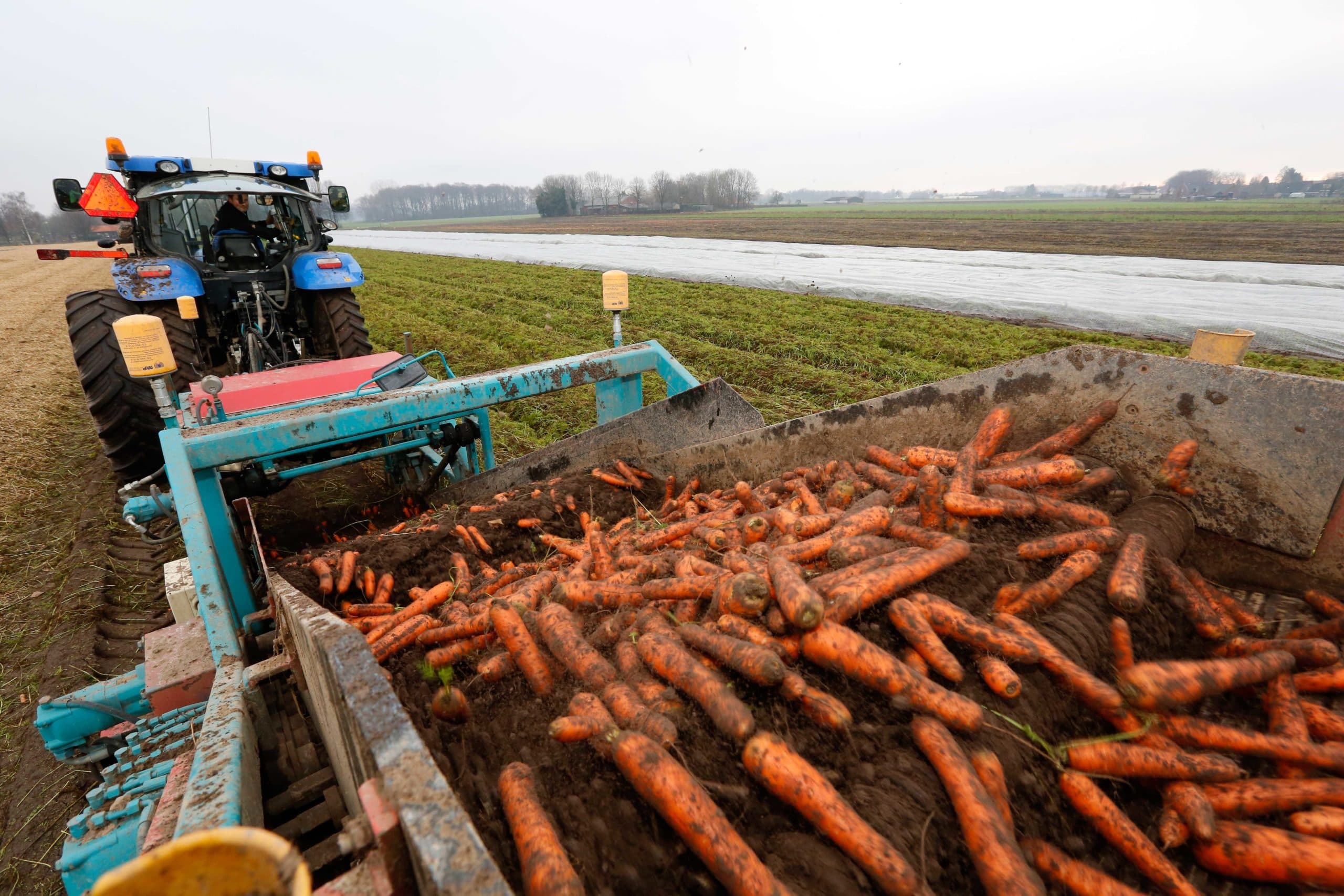Foto: Henk Riswick