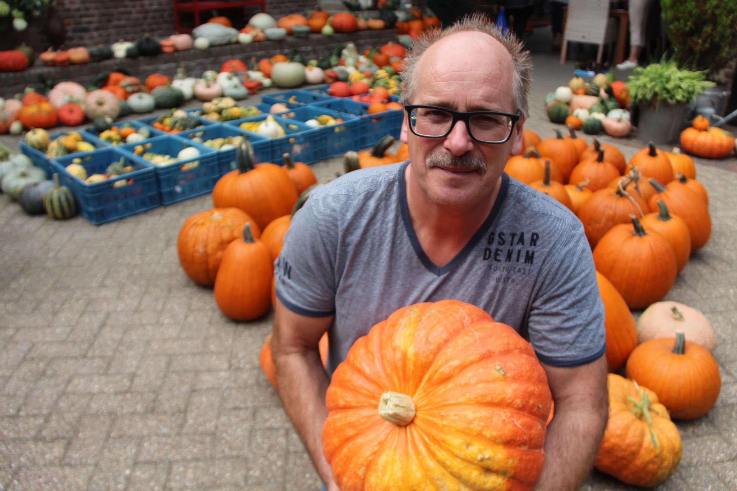 John Frijns teelt circa 100 verschillende pompoenrassen teelt voor diverse gebruiksdoelen: soep, groente, sier en Halloween