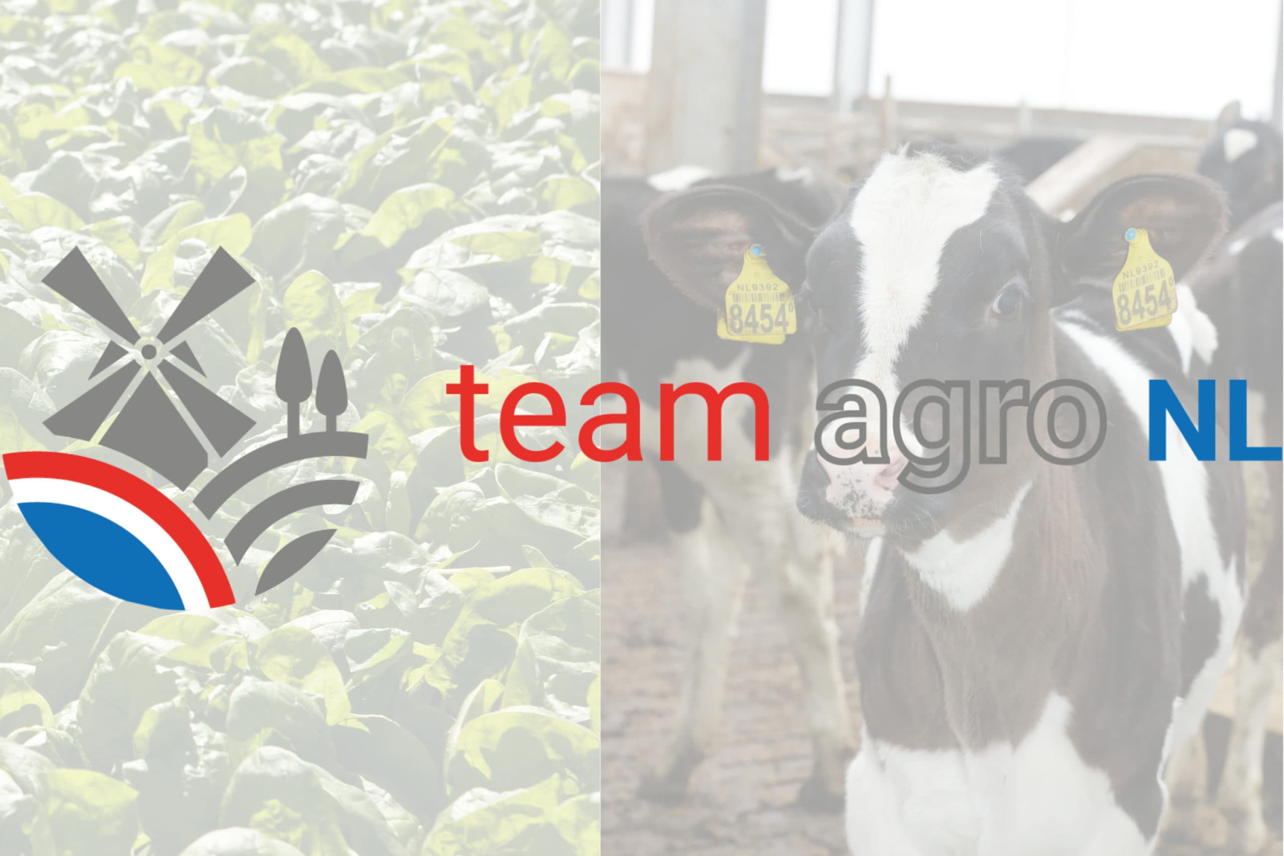 Loto: Team Agro NL