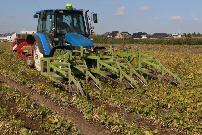 De bonen zijn eraf en als eerste nabewerking wordt het perceel gewoeld tot iets onder de ploegzool. Een beetje lucht in de grond kan volgens Van Nieuwenhuyze geen kwaad.