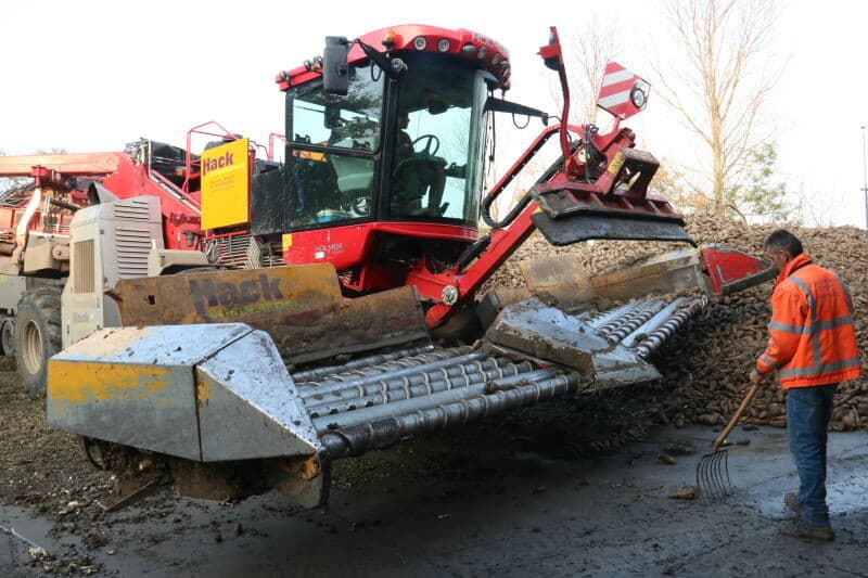 De cichoreicampagne van Sensus is weer van start gegaan. Hier laadt de cichoreimuis de geoogste cichorei bij Smits in Oud-Vossemeer op Tholen. - Foto's: Anton Dingemanse
