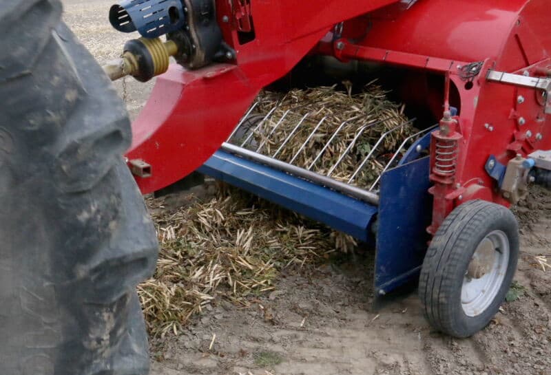 Dat de teelt dit jaar niet vanzelf ging, laat deze kale plek zien. Na het zaaien van dit 8 hectare grote perceel kwamen de hoosbuien, die het gehele perceel onder water zetten. Van Nieuwenhuyze verwachtte dat er niets van terecht zou komen. De boon blijkt een taaie rakker, zodat uiteindelijk  maar  2 hectare verloren ging.