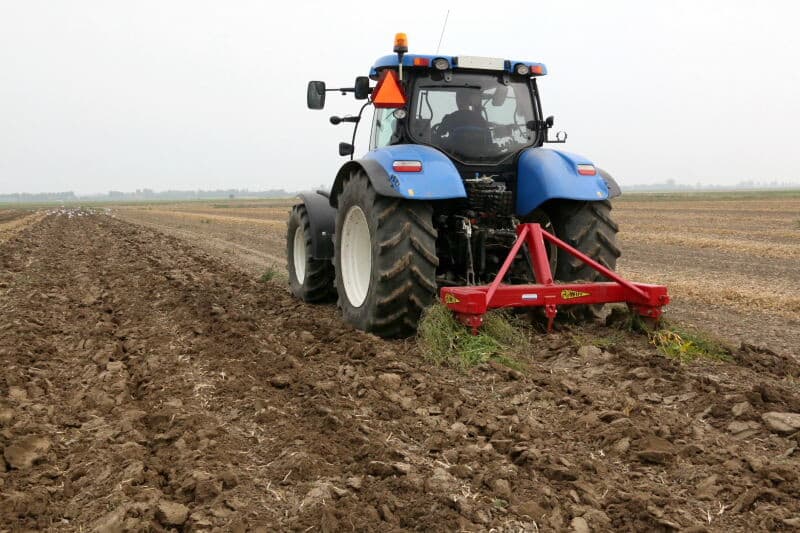 De bonen bleven niet alleen kleiner, ook de struikjes waren minder ontwikkeld, met minder en kleinere peulen die ook niet altijd volledig gevuld waren.