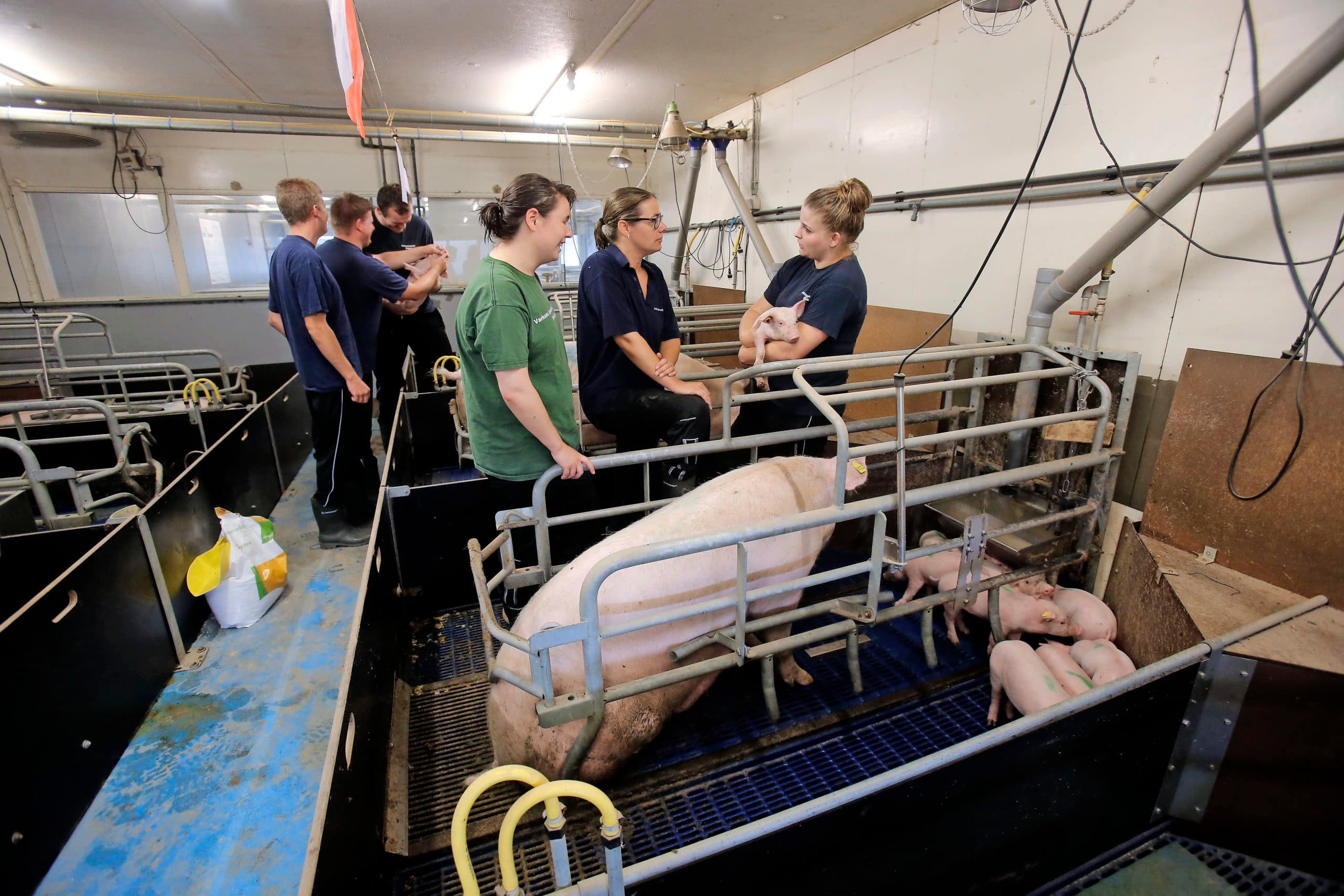 Studenten doen onderzoek op VIC Sterksel