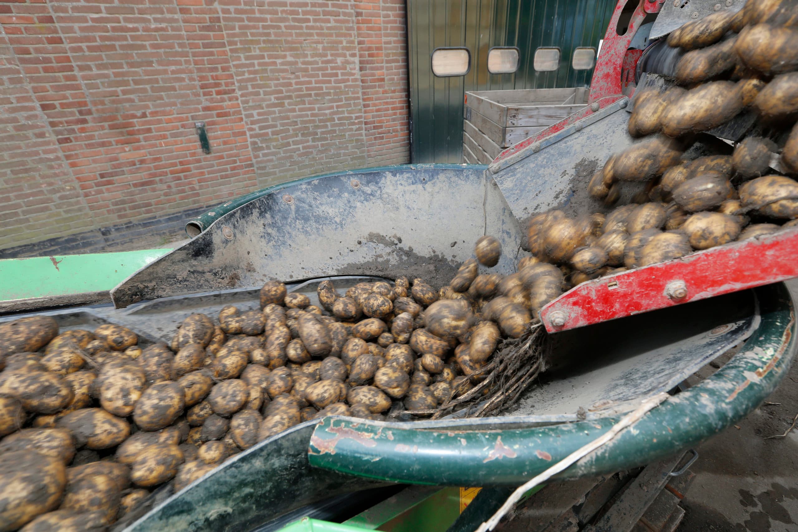 Foto: Henk Riswick