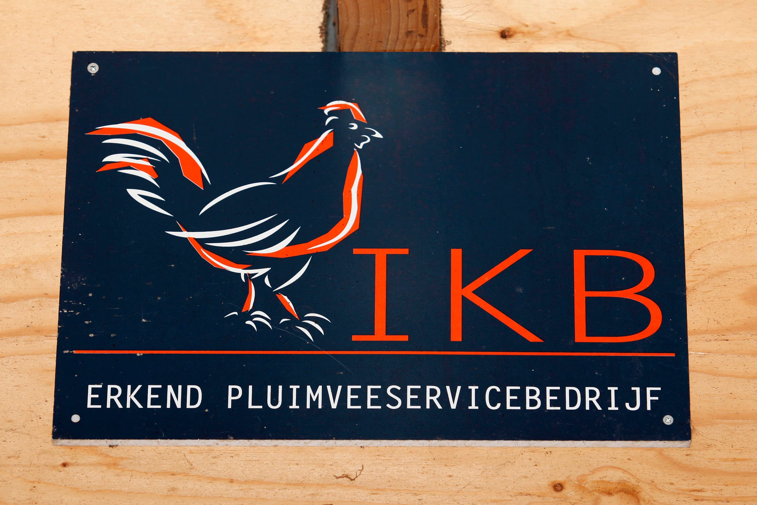 Foto: Ton Kastermans Fotografie
