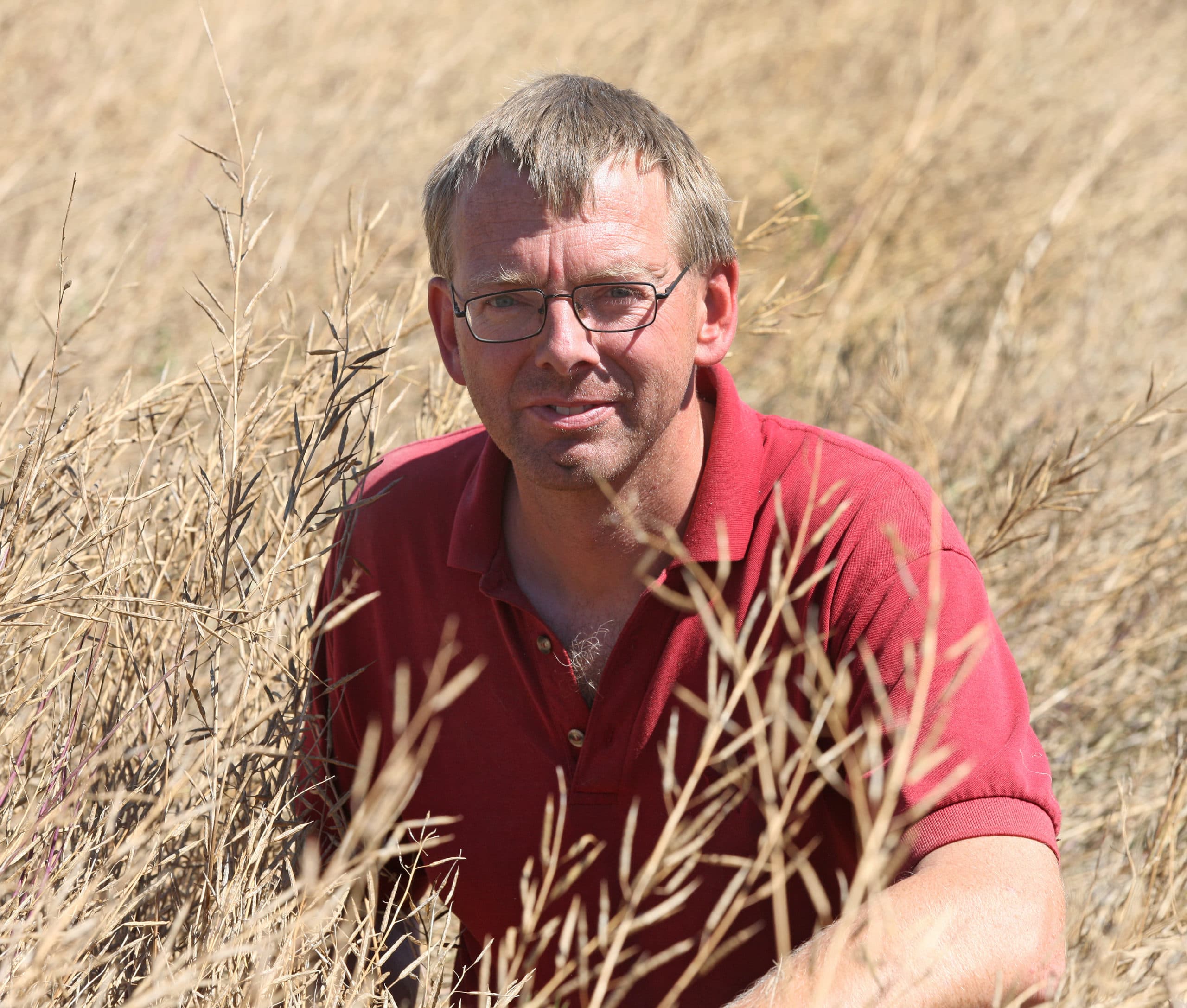 André Edens teelt dit jaar op grotere schaal zwarte mosterd. "Bij dit gewas ga ik vooral af op mijn onderbuikgevoel.  - Foto: Hans Banus