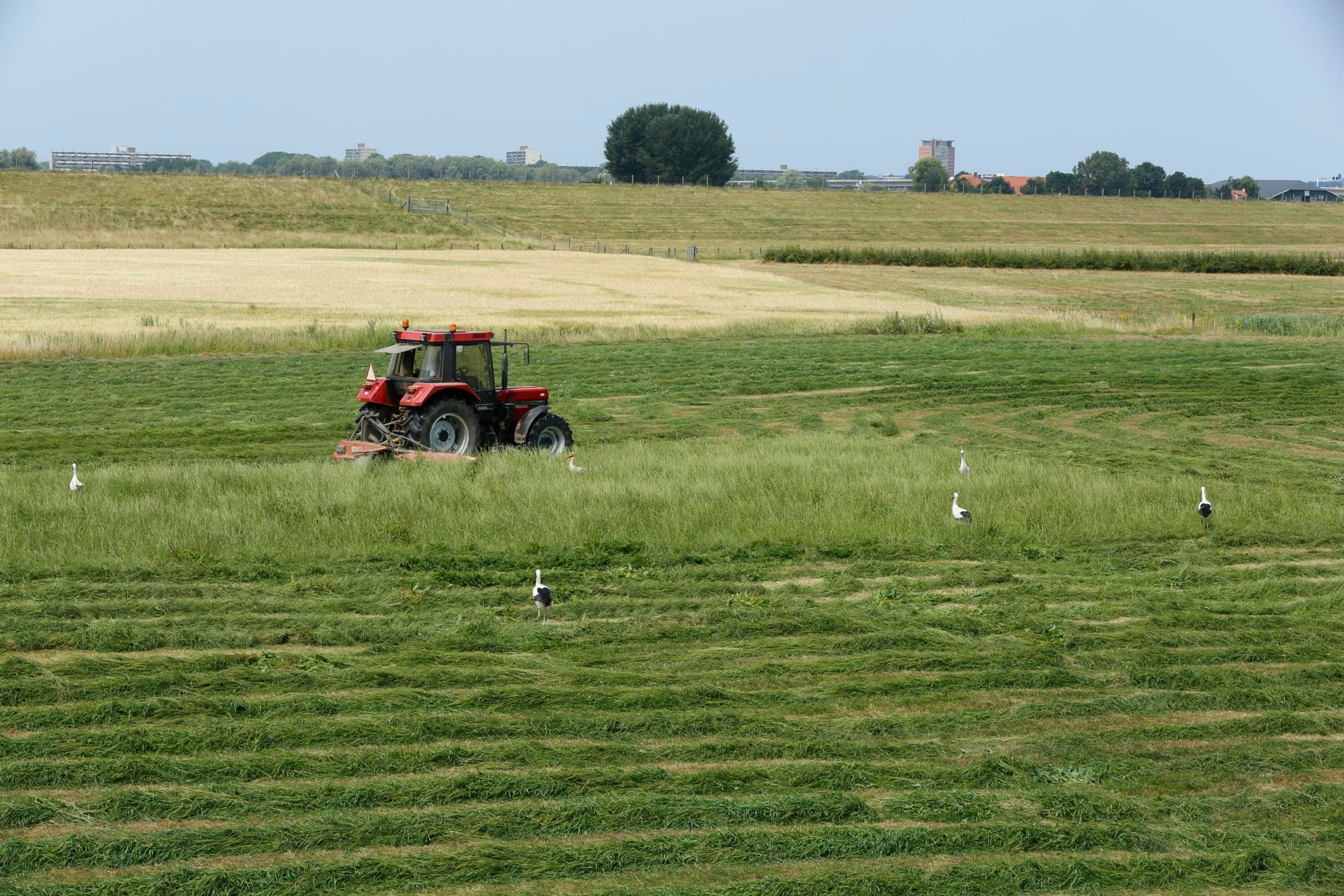 Foto: Henk Riswick