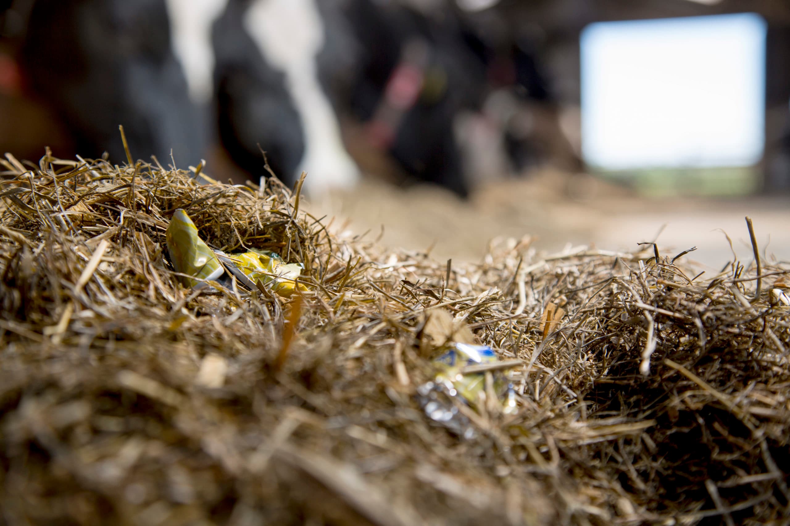 Foto's: Jan Willem Schouten
