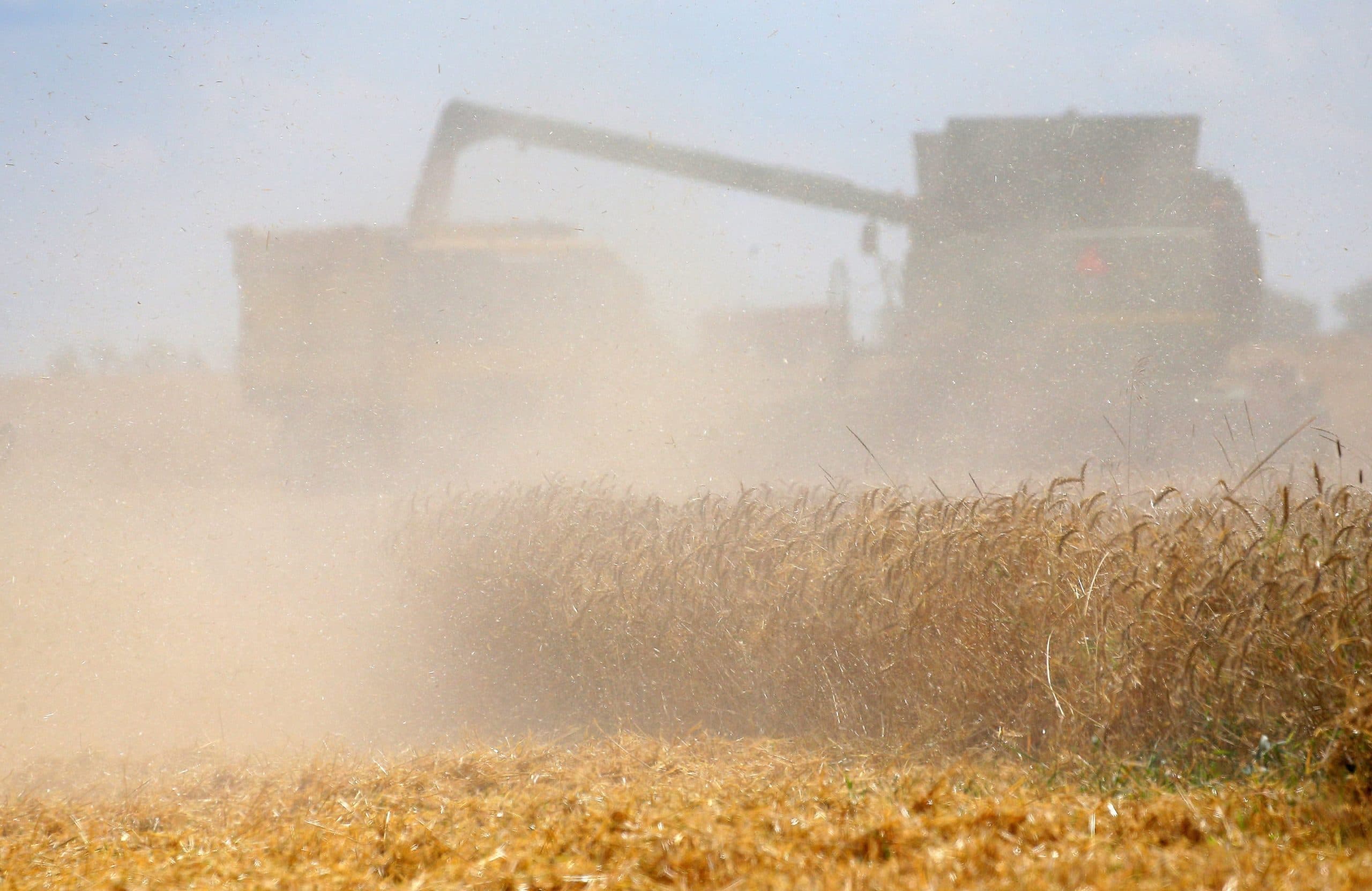 epa06148530 A mowing machine works in a field during wheat harvest in Pushkino village, outside Moscow, Russia, 17 August 2017. Russia is a leading wheat export nation. A report published by the US Department of Agriculture expects Russia to export around 30 million tonnes of wheat in 2017-18.  EPA/MAXIM SHIPENKOV