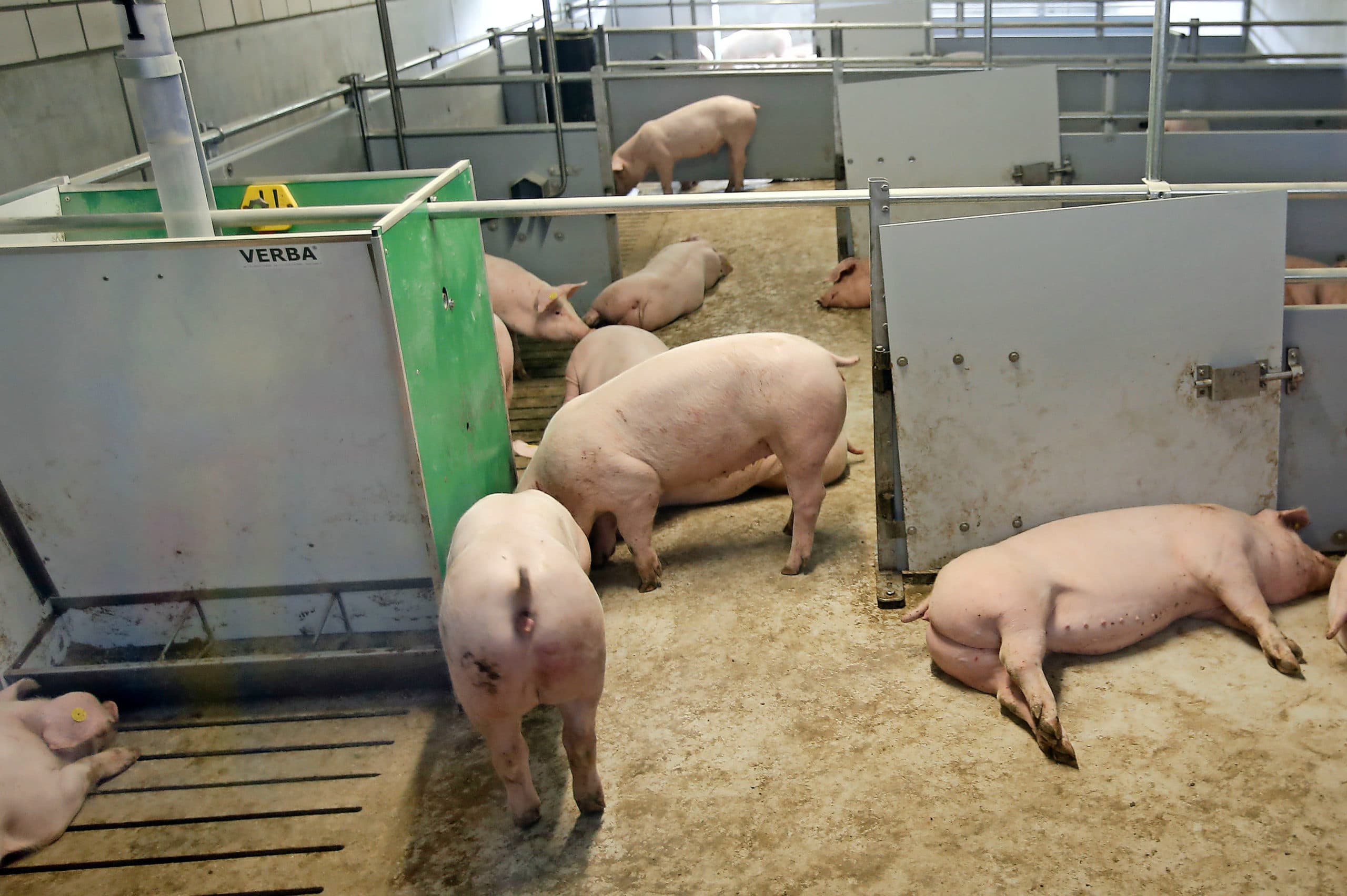 Foto: Bert Jansen