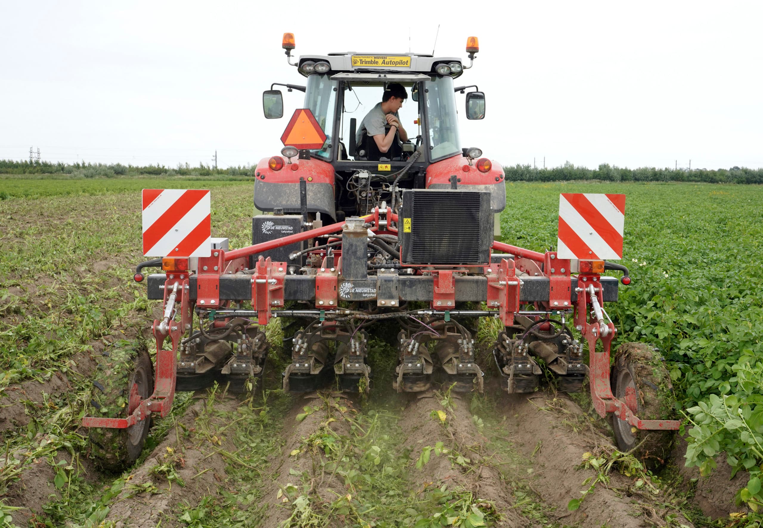 Foto: Ruud Ploeg