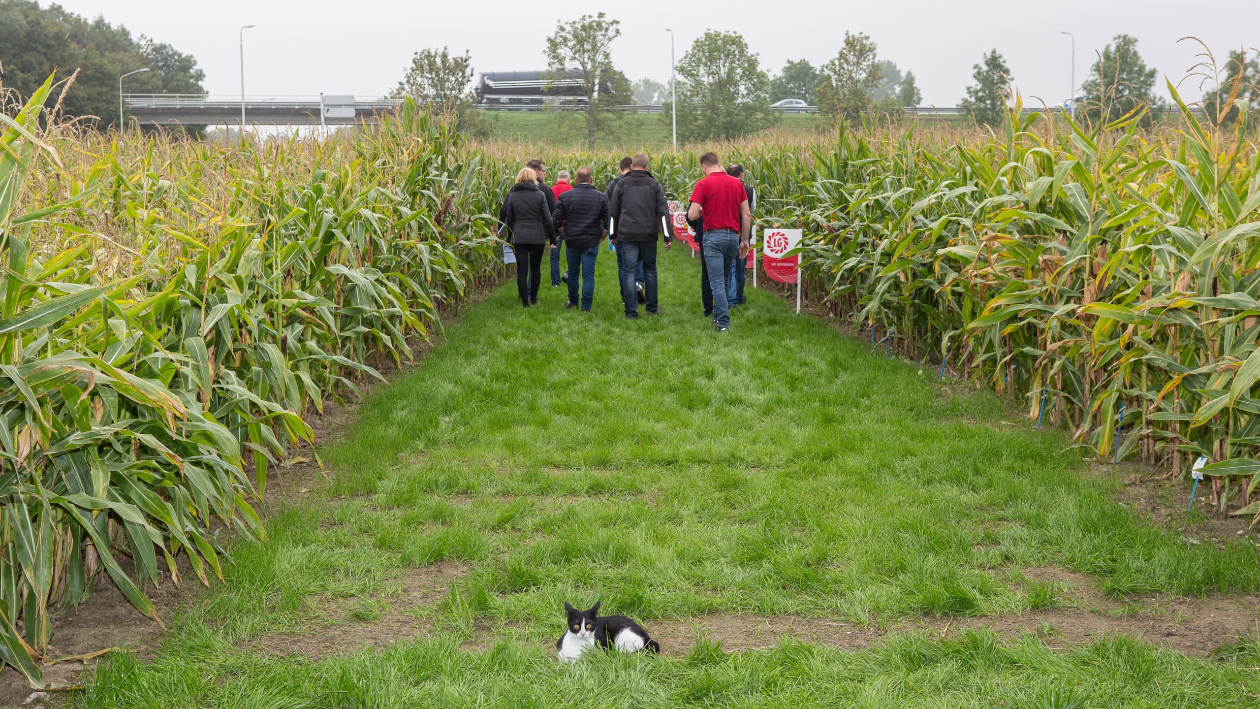 Foto's: Peter Roek