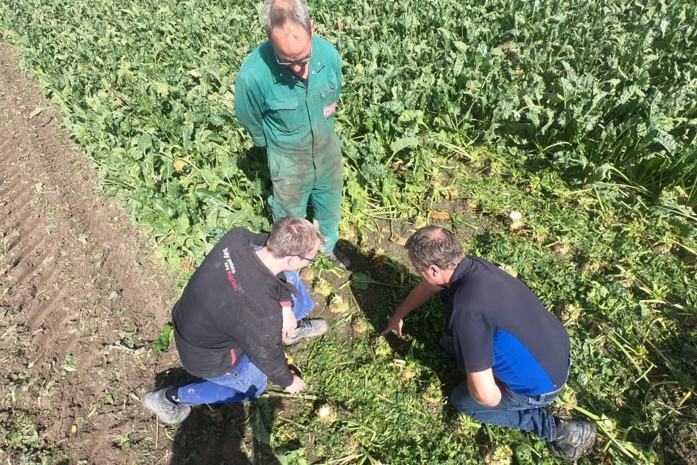 Maatschap Harrie en Erwin Koopman in Marknesse (Fl.) teelt ruim 21 hectare suikerbieten van het ras BTS 2345. Zij leveren gedurende de campagne 4 keer ruim 5 hectare suikerbieten. De eerste 5 hectare is voor de vroege levering. - Foto's: Sytze Bakker
