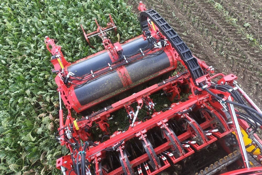 Lossen van een vracht suikerbieten bij de fabriek van Suiker Unie in Vierverlaten bij Groningen. De campagne is nu echt begonnen. In Vierverlaten worden nu vooral suikerbieten uit Friesland, Groningen en Flevoland aangevoerd, Drenthe blijft in verband met lage opbrengsten nog wat achter.