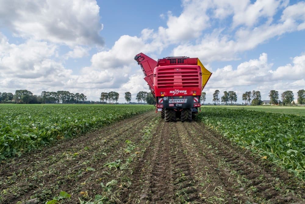 Vanuit de cabine is goed te zien dat de perfect ontbladerde bieten richting opaallichters de rooier ingaan.