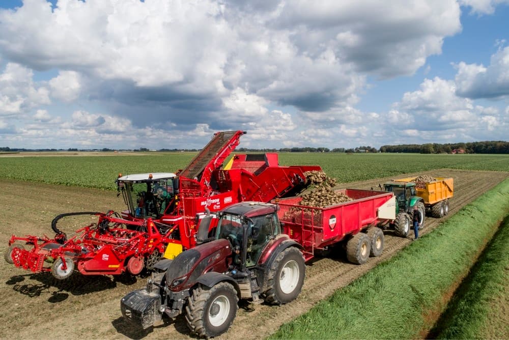 Rups en brede banden laten met deze mooie structuur van de grond geen sporen na. Koopman zou als het suikerpercentage meevalt alles wel zo willen rooien.