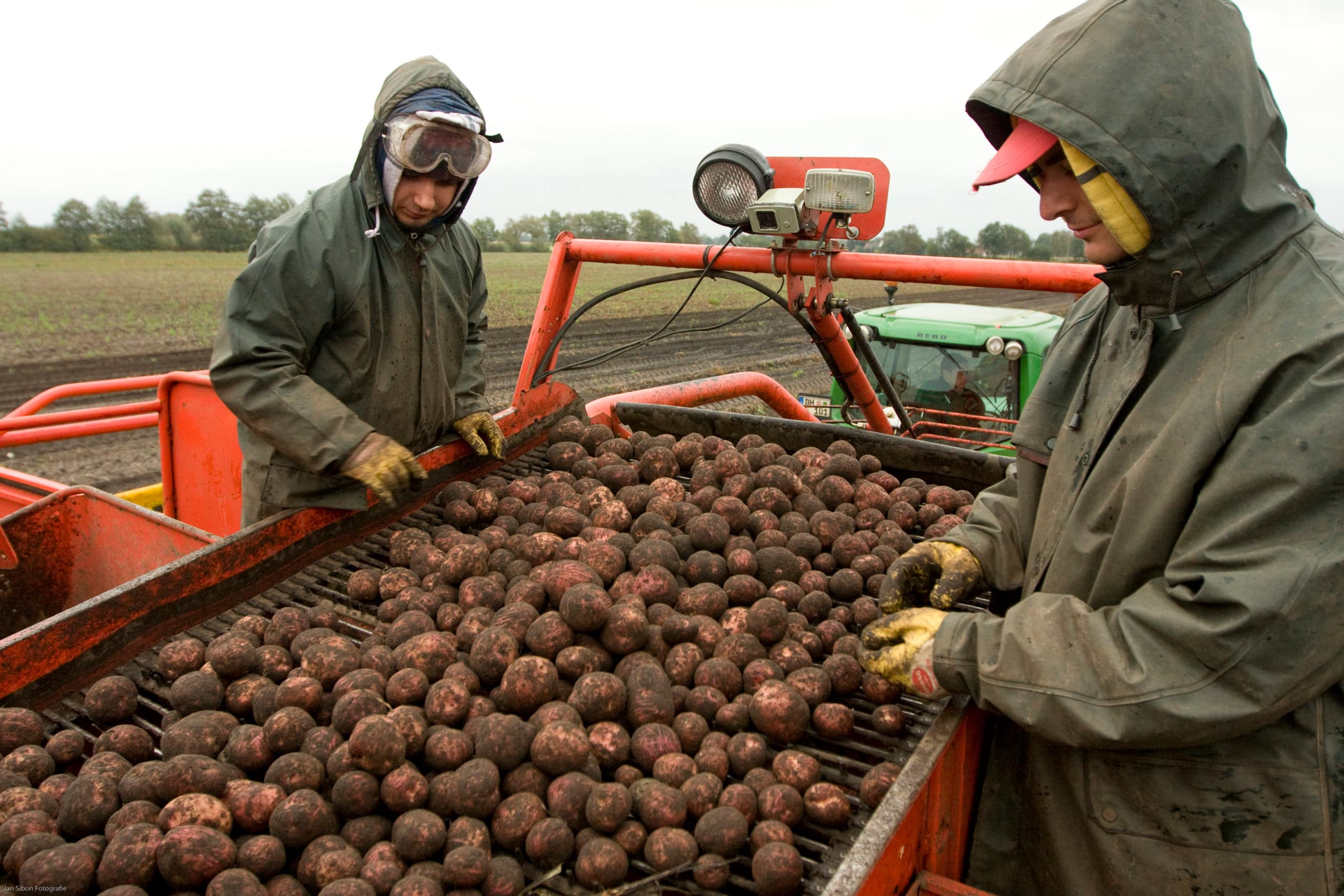 Foto-opdracht: 193267 Boerderij [10020] zibo-frontrooier aan het werk bij FANGMEIER Agrarhandel Chips & Snacks en wasserij voor chipsaardappelen. Biogas installatie
