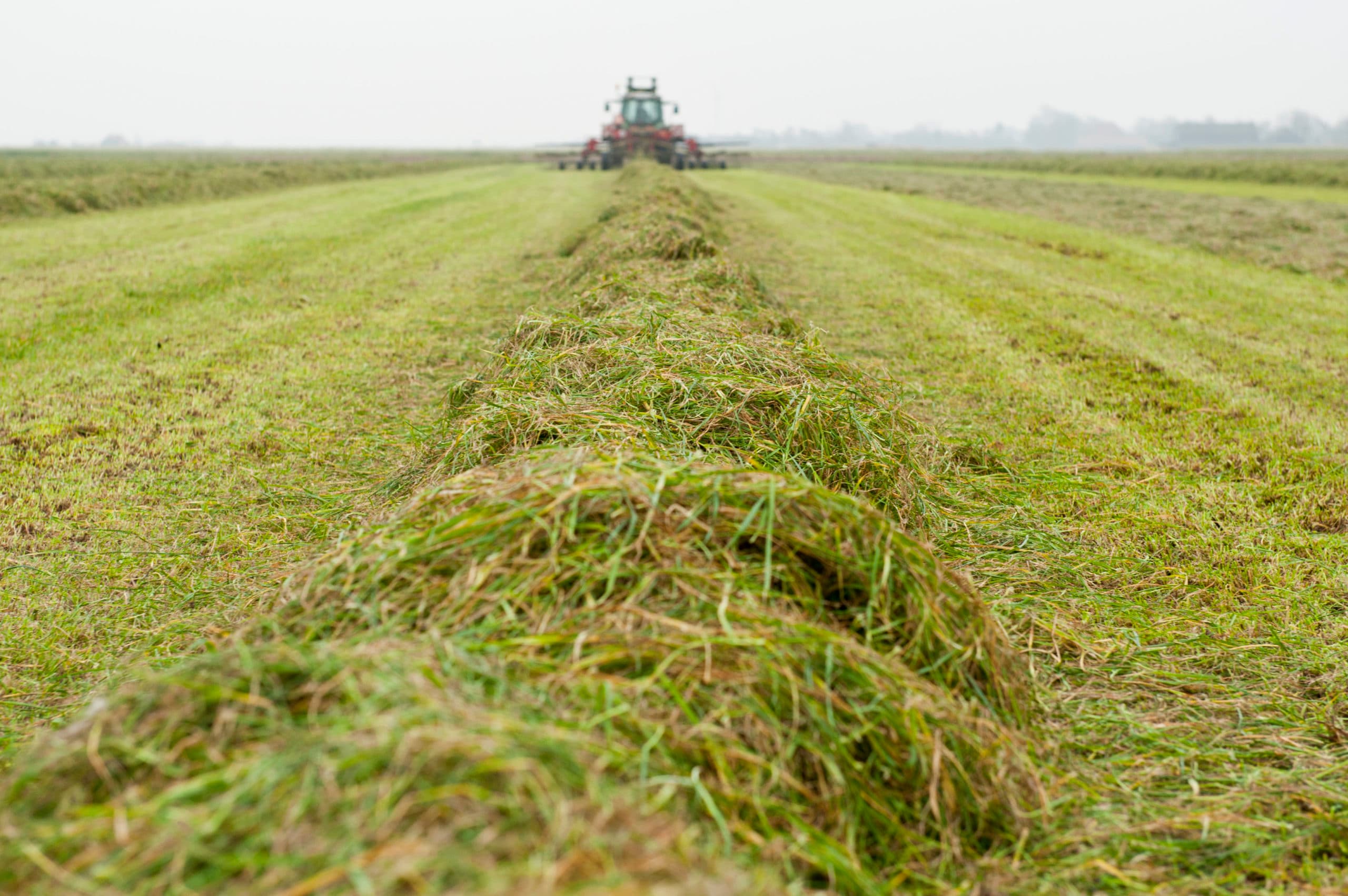 Foto: Wick Natzijl