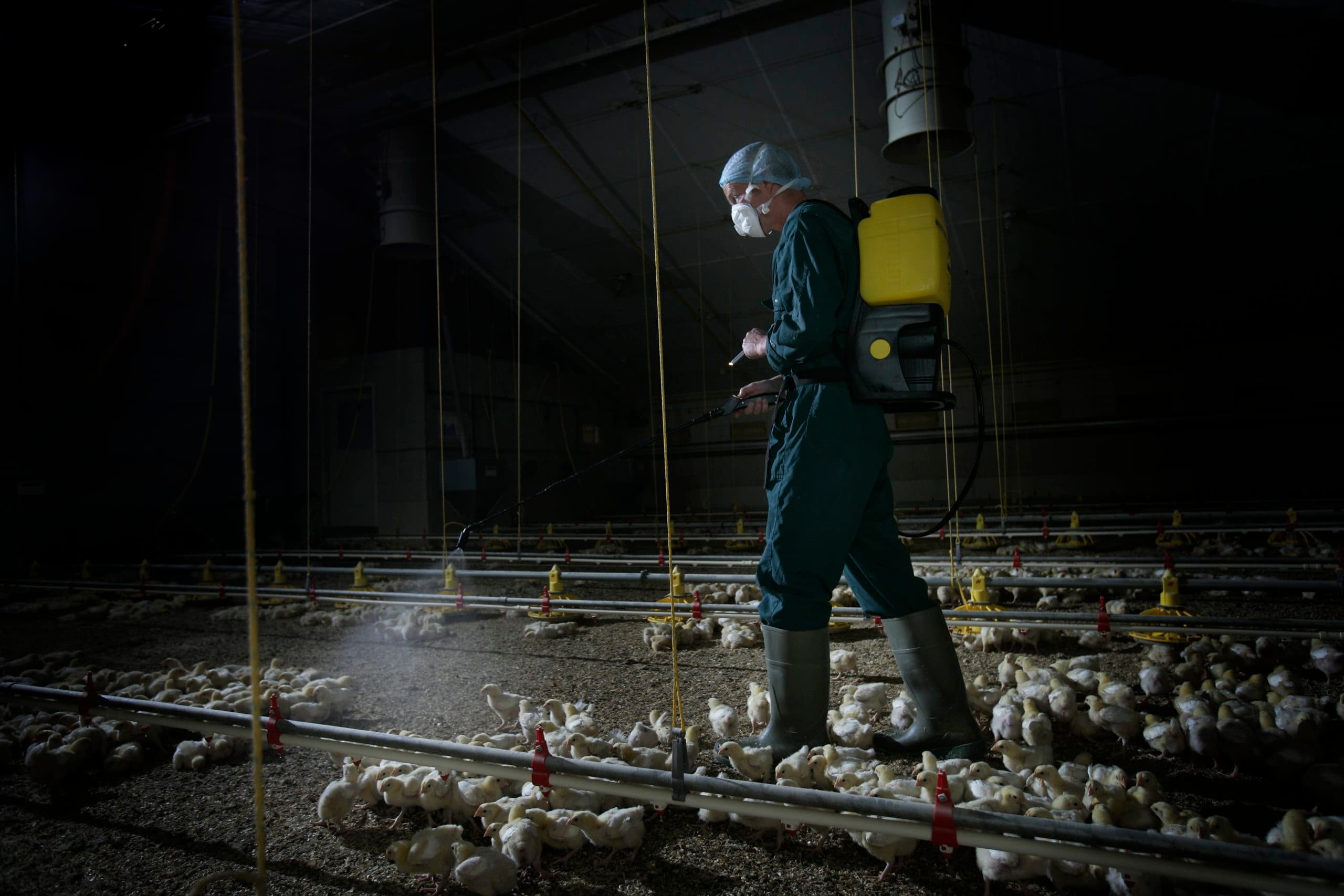 Foto: Jan Willem Schouten