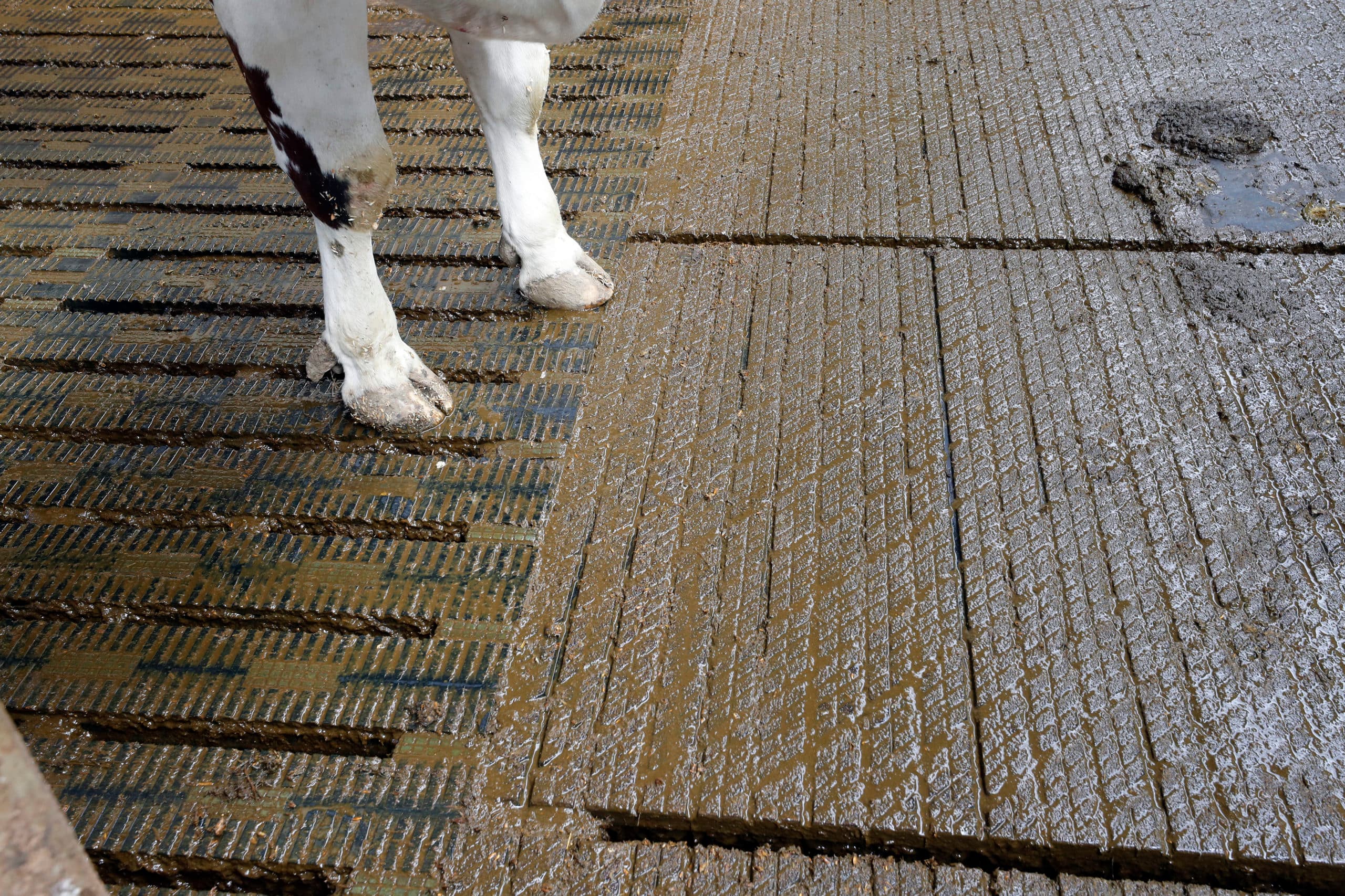 Emissiearme vloer. - Foto: Bert Jansen