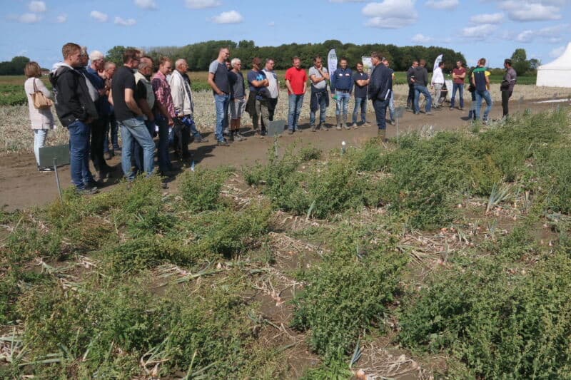 Het beschikbaar zijn van zoet water blijkt, zoals deze zomer weer heeft aangetoond, van cruciaal belang voor de gewasgroei te zijn. Financiële steun na misoogsten ten gevolge van een tekort aan water is eigenlijk achter de feiten aanlopen. Zeeuwse telers roepen de overheid dan ook op om de beschikbaarheid van zoet water te vergroten.