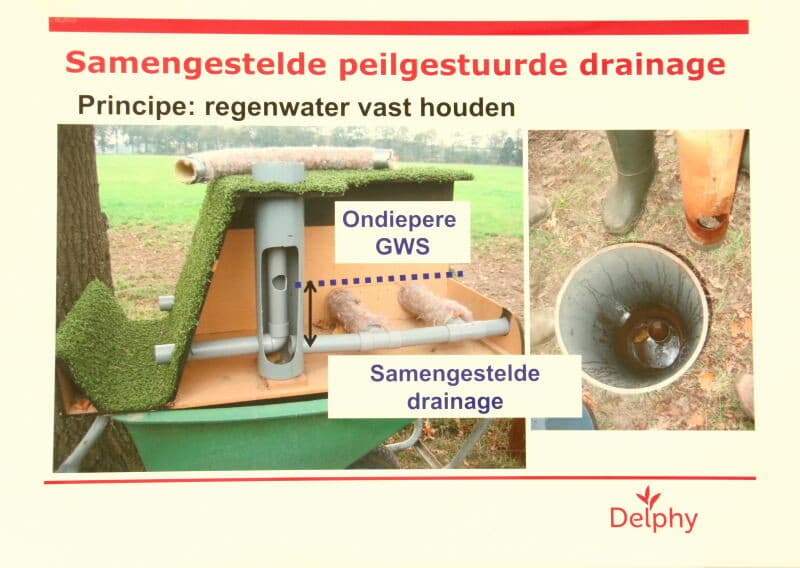 Alleen trips kan deze hergroei wel waarderen.