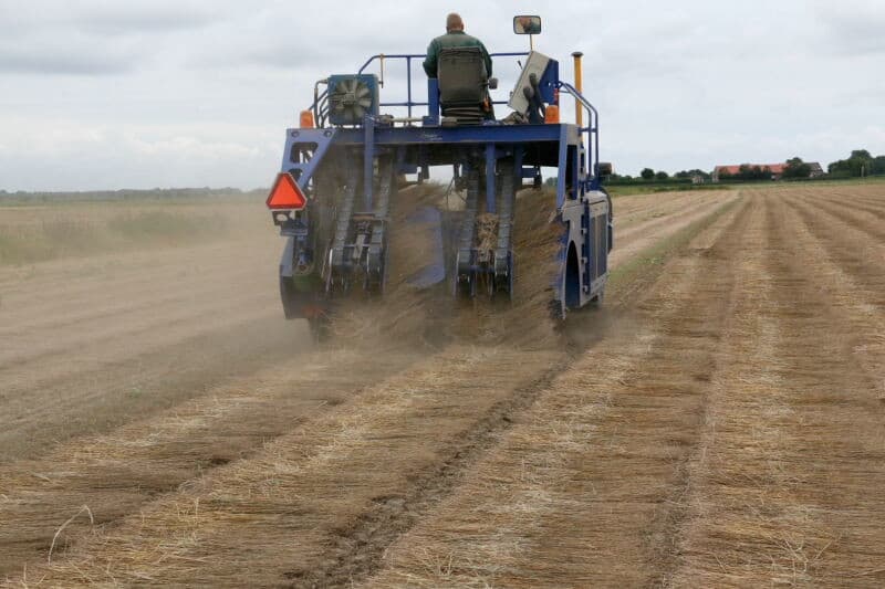 Onder optimale omstandigheden kan het vlas een week na het plukken geperst en afgevoerd worden. Dan is het wel zaak dat er direct na het plukken enige regen van betekenis valt. Daarna blijft het vlas nog enkele dagen liggen, zodat het kan roten. Dan worden de zwaden gekeerd, die kort erna geperst en afgevoerd kunnen worden. Deze zomer was ook voor de vlasoogst niet optimaal. Pas na een maand kan er gekeerd worden.