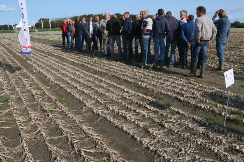 Bij de stand van FMC wordt een groep bijgepraat over het insecticide Benevia. Deze kan trips in elk stadium aanpakken.