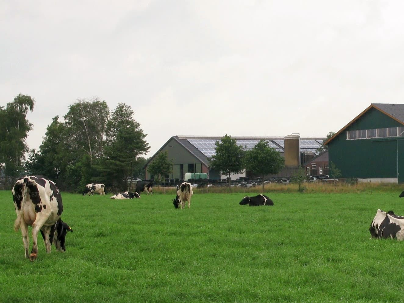 Bernard Holhaus (meest links) heeft een mechanisatiebedrijf in Cloppenburg. Hij zag in Oldenburg veel bezoekers met grote interesse voor de mesttanks. Met het emissiearm aanwenden van mest hoopt Duitsland weer een stap te zetten om derogatie terug te krijgen.