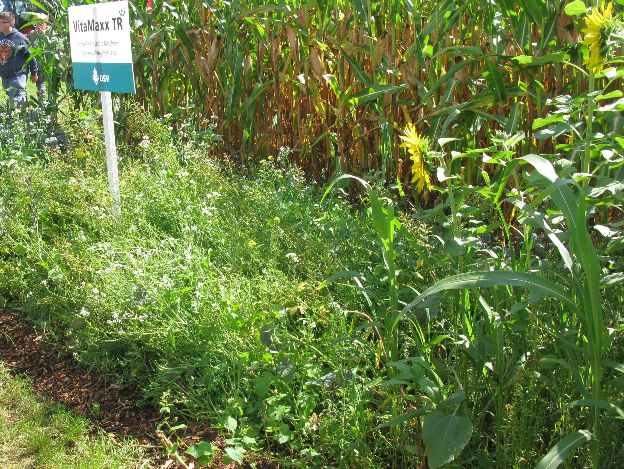 Biogas drukt zijn stempel op de Duitse agrarische sector. In het westen van deelstaat Nedersaksen domineren maisvelden het landschap. Tijdens de Landtage Nord bleek dat nieuwe vergisters geheel uit de belangstelling verdwenen zijn. Er was geen stand met reclame voor nieuwe vergisters. - Foto's: Robert Prins