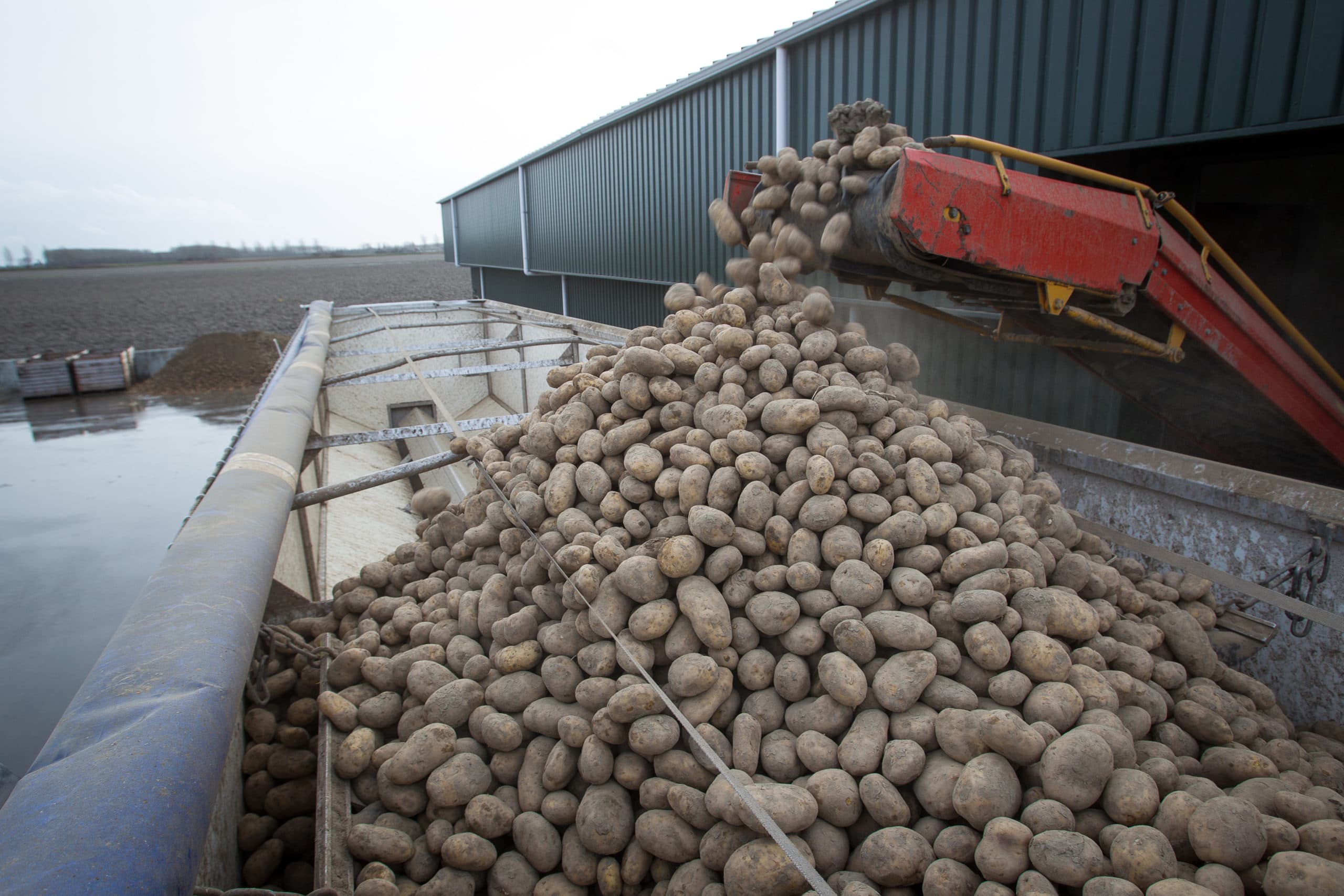 201926 Aardappelen laden bij Mts Buth in Dirksland