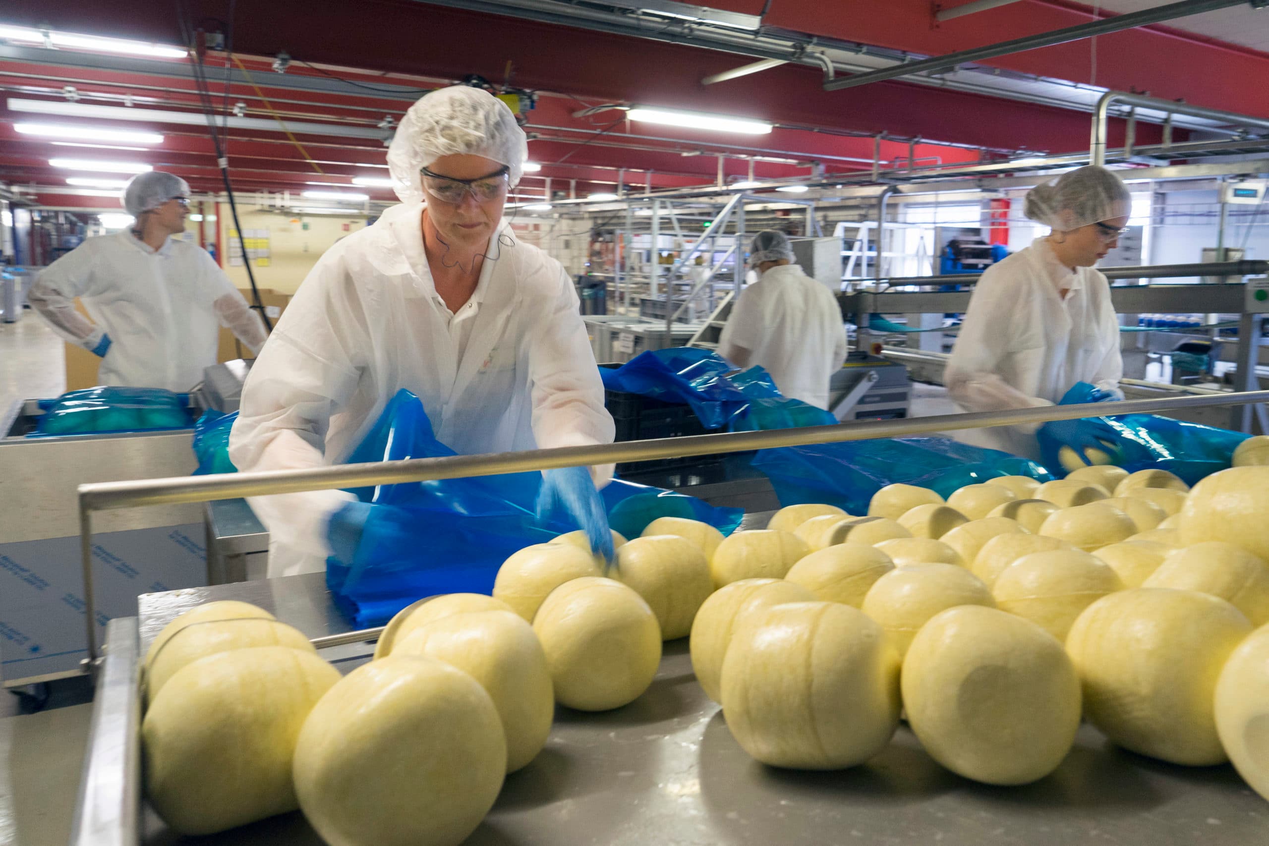 Marum  30-05-2018   opdr foto kaasfabriek Friesland Campina bestaat 100 jaar foto:Jan Willem van Vliet