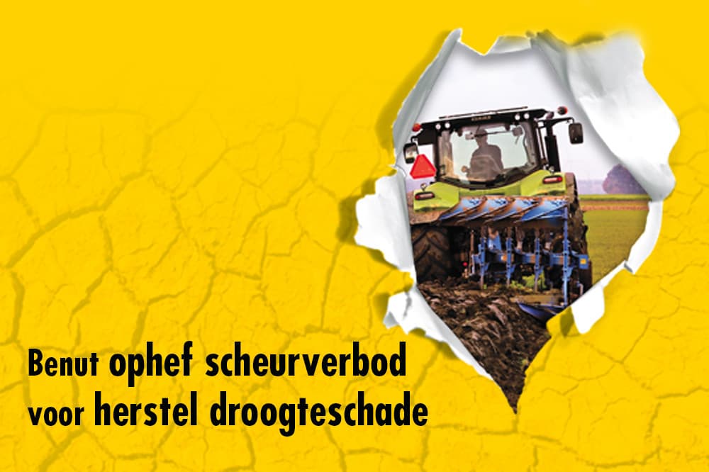 Benut opheffen scheurverbod voor herstel verdroogd grasland